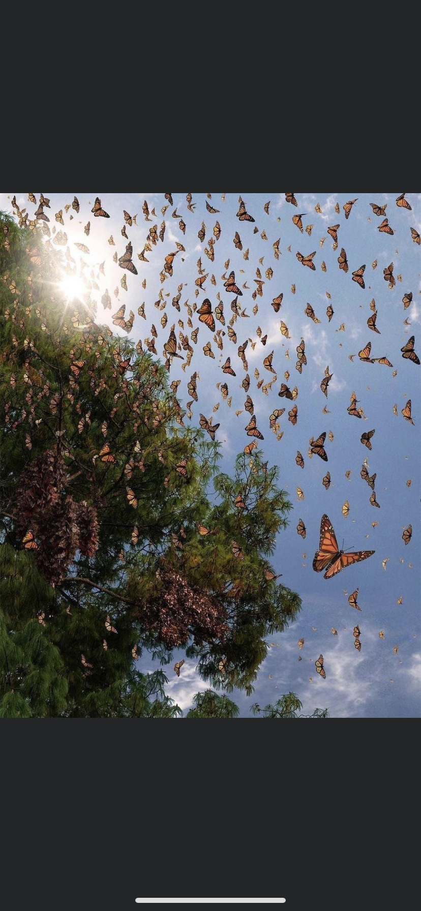 Jrp23693 OnlyFans header