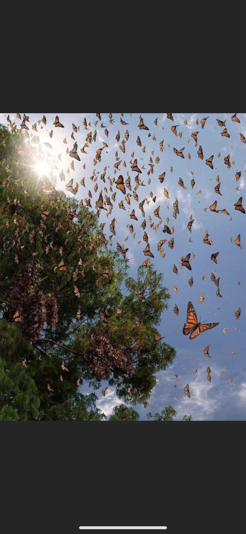 Jrp23693 OnlyFans header