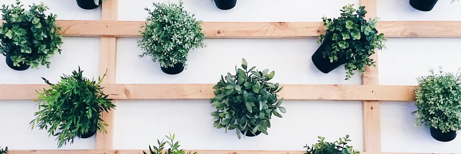 GAY_MADRID OnlyFans header