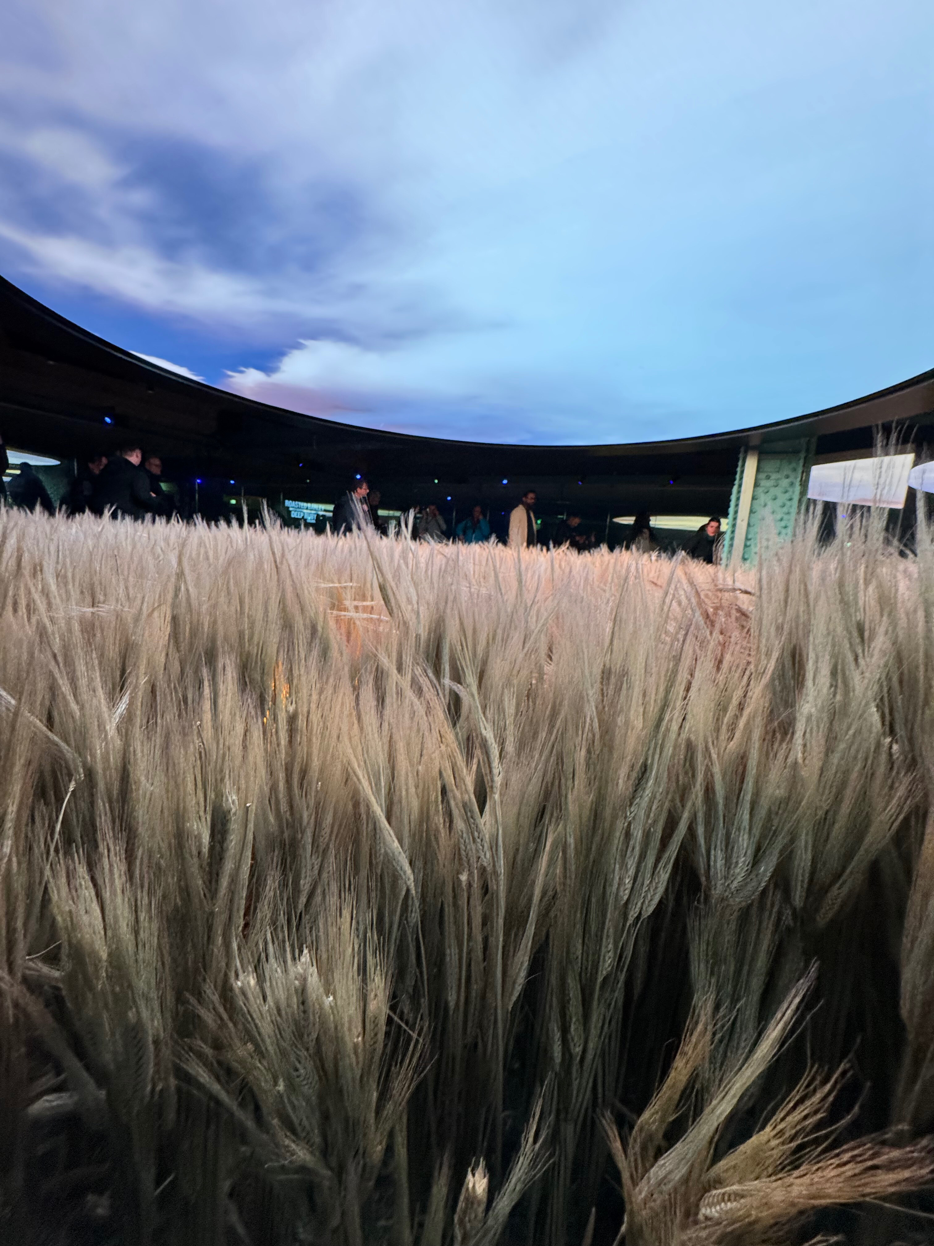 whatspom OnlyFans header