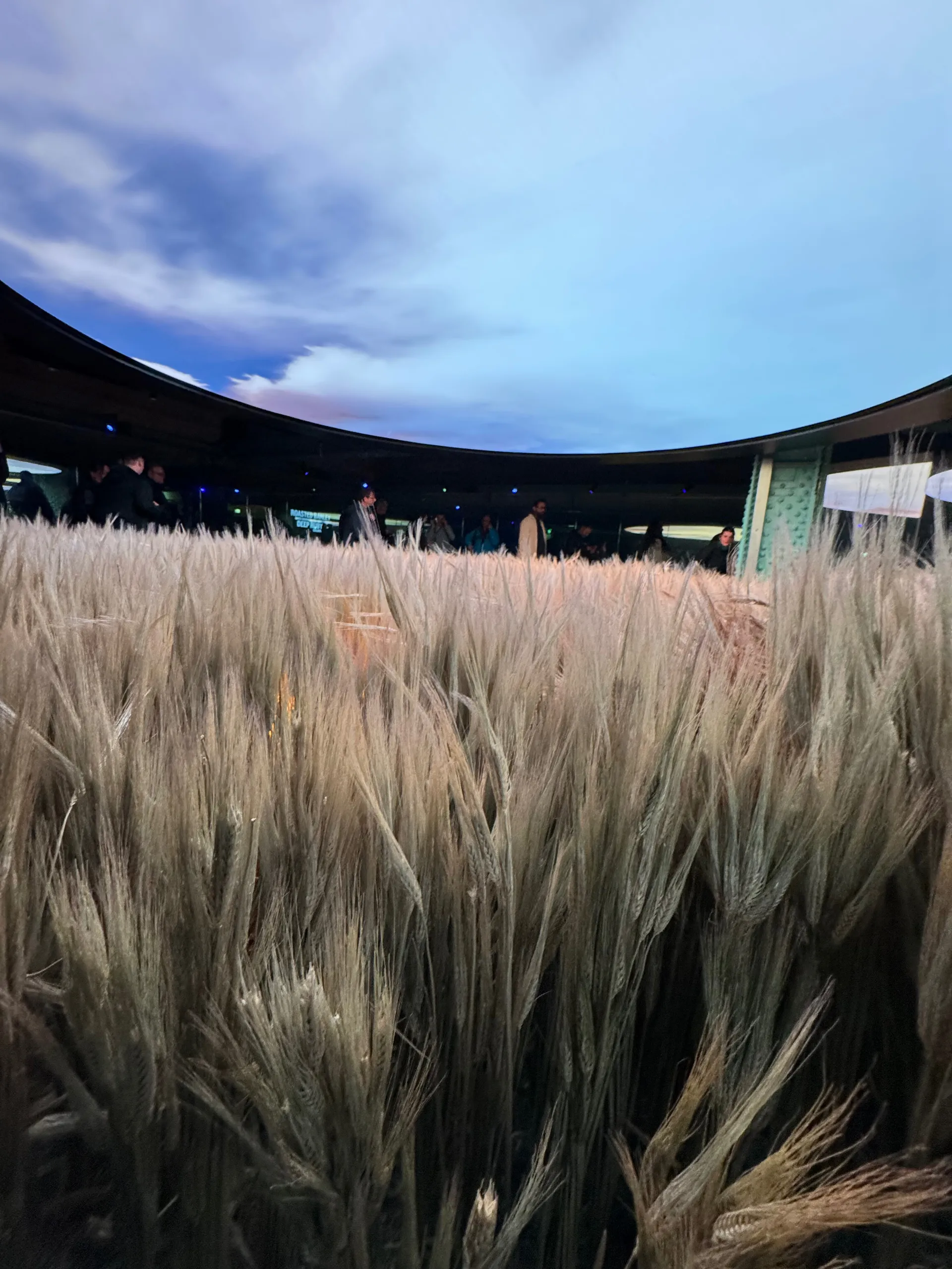 whatspom OnlyFans header