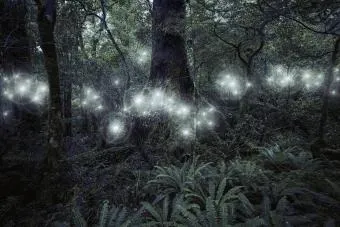 KeiKei OnlyFans header