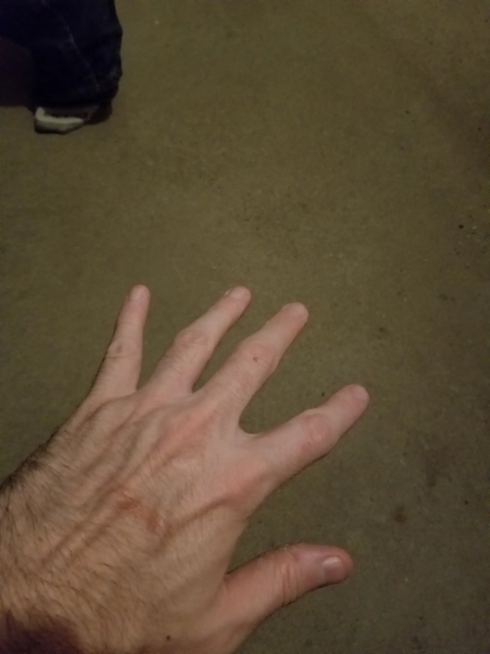 What you needed OnlyFans header