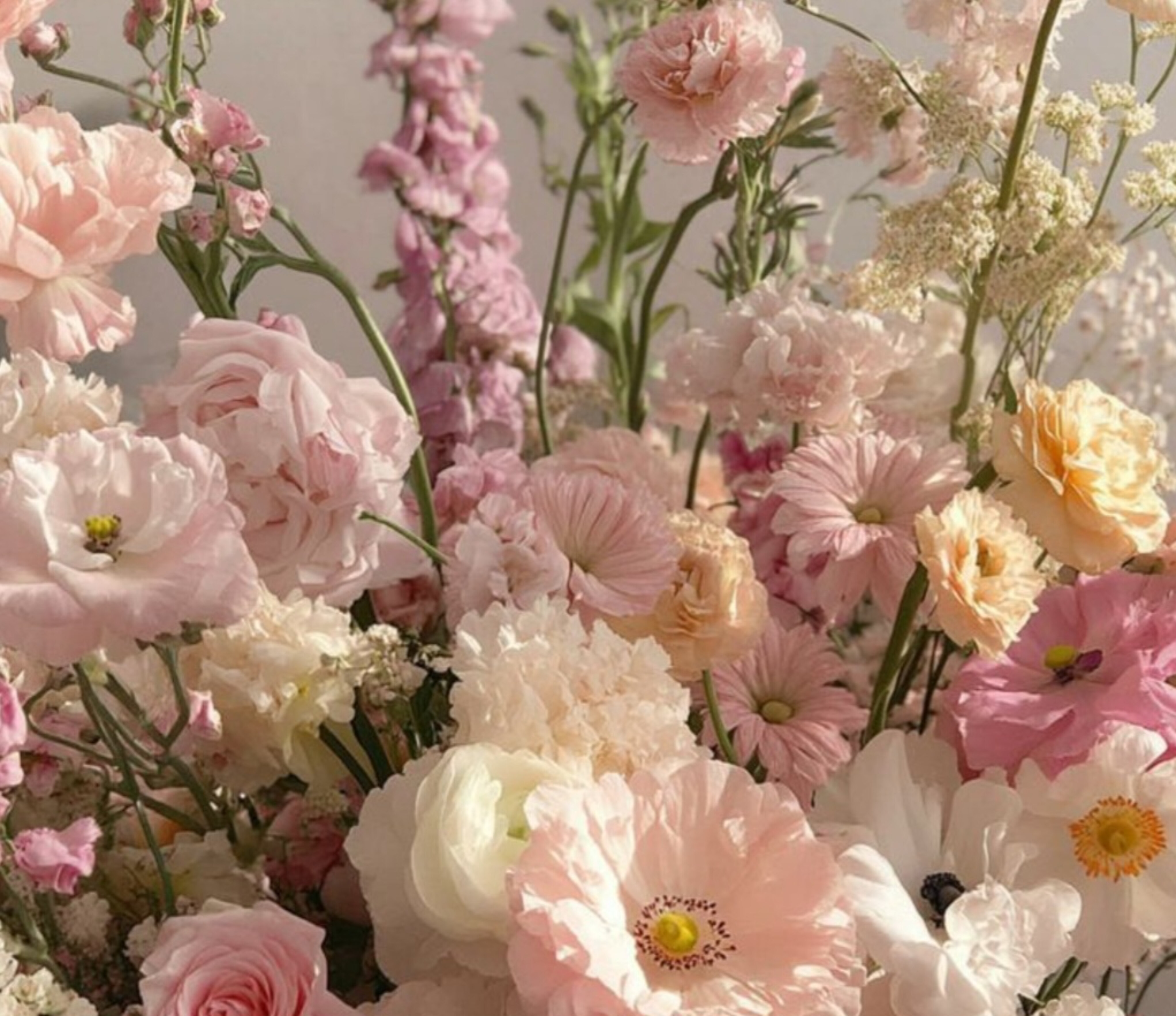 Katy OnlyFans header