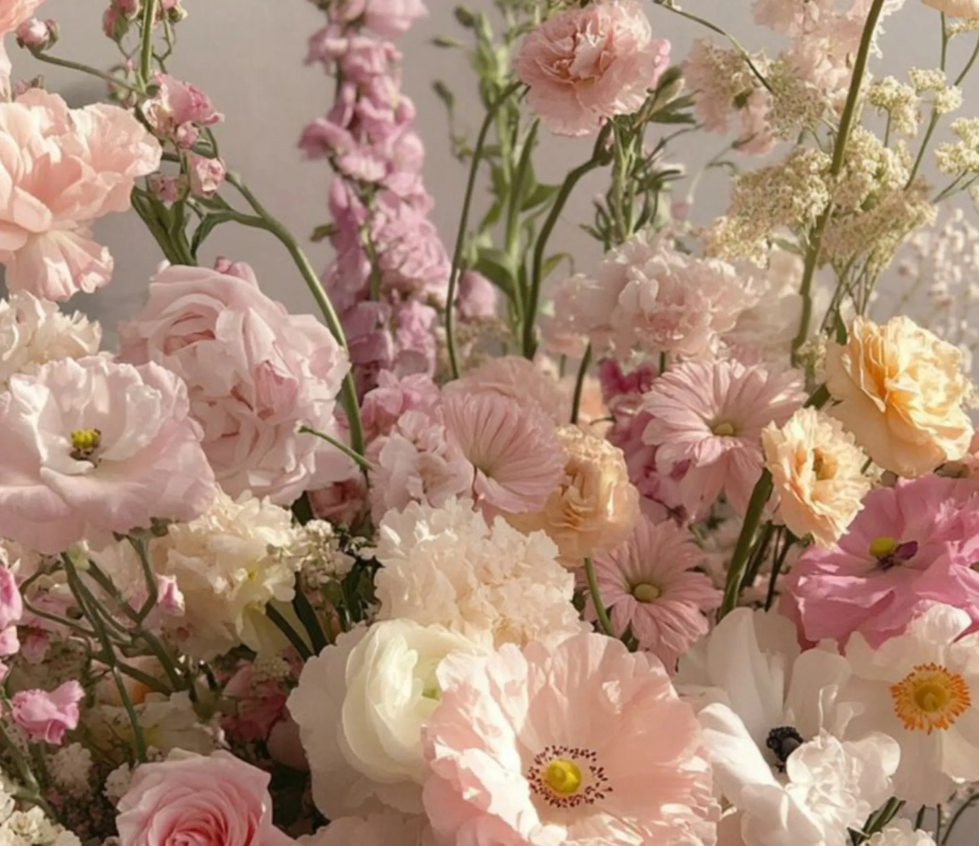 Katy OnlyFans header