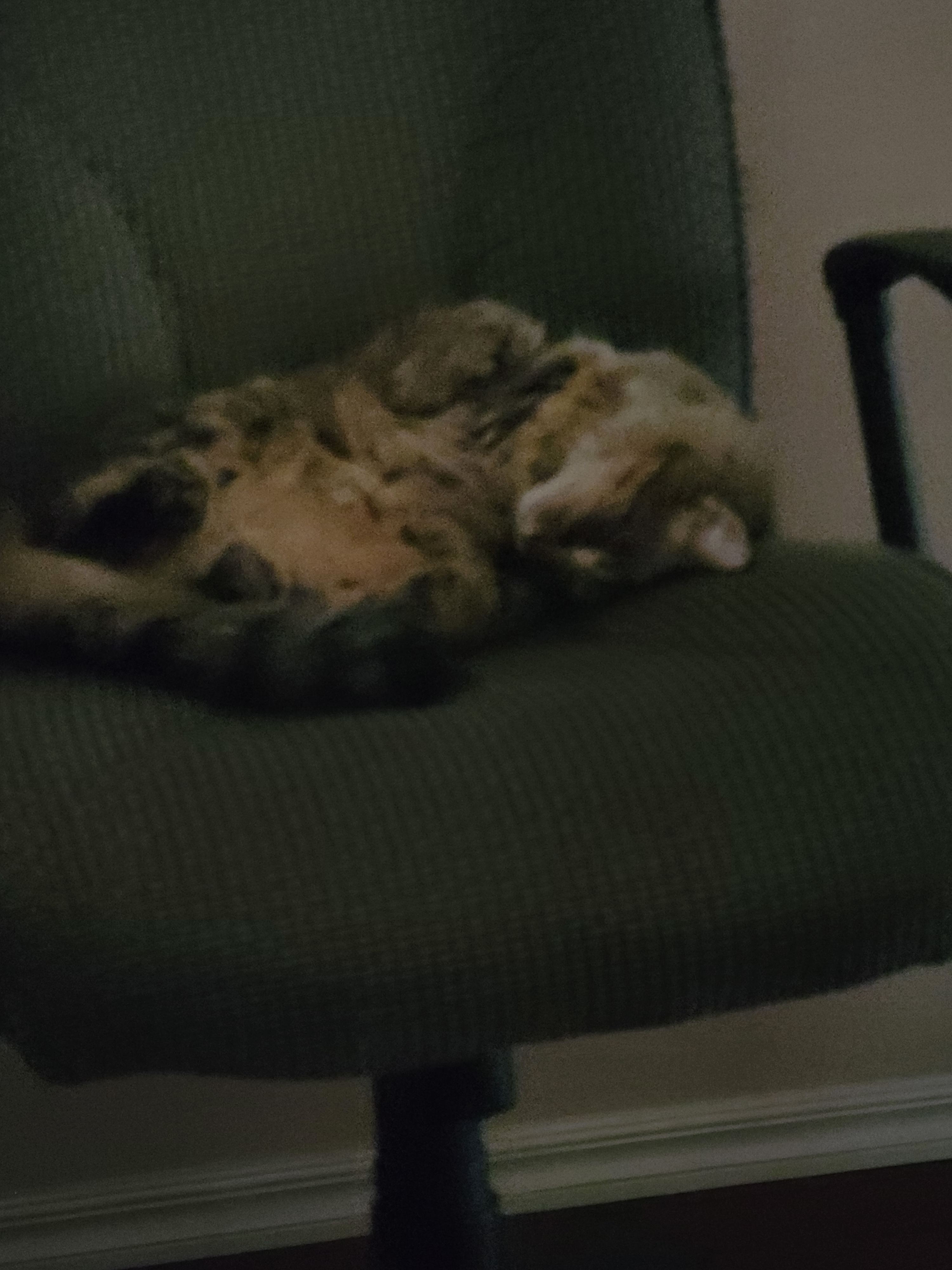 Kyle OnlyFans header