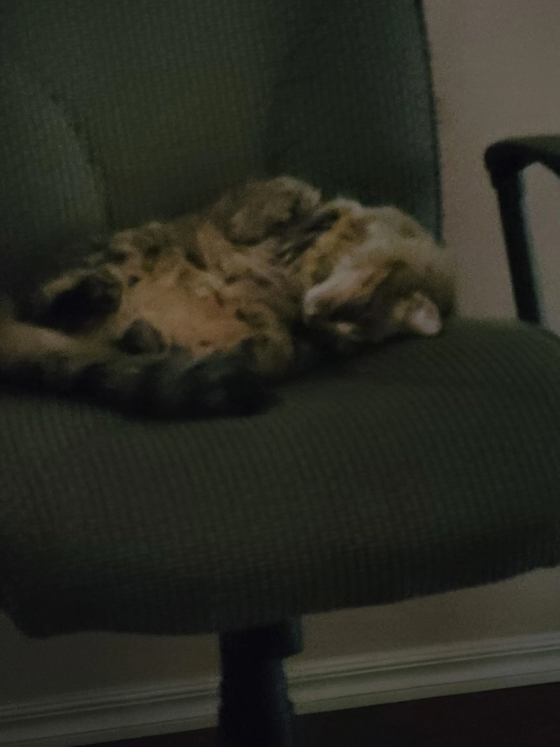 Kyle OnlyFans header