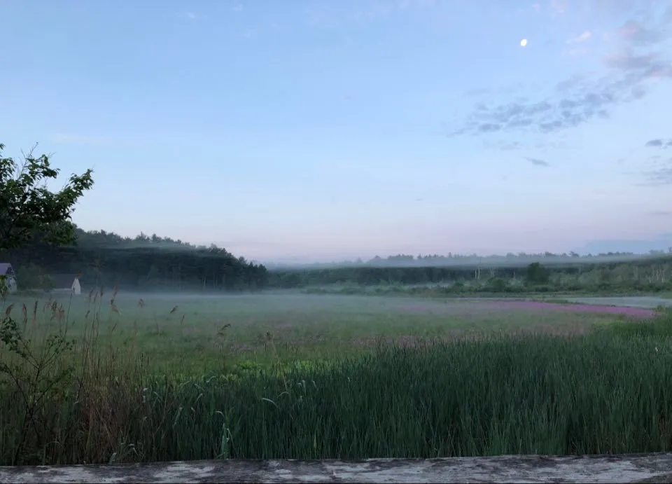 DaggerfallTeam OnlyFans header