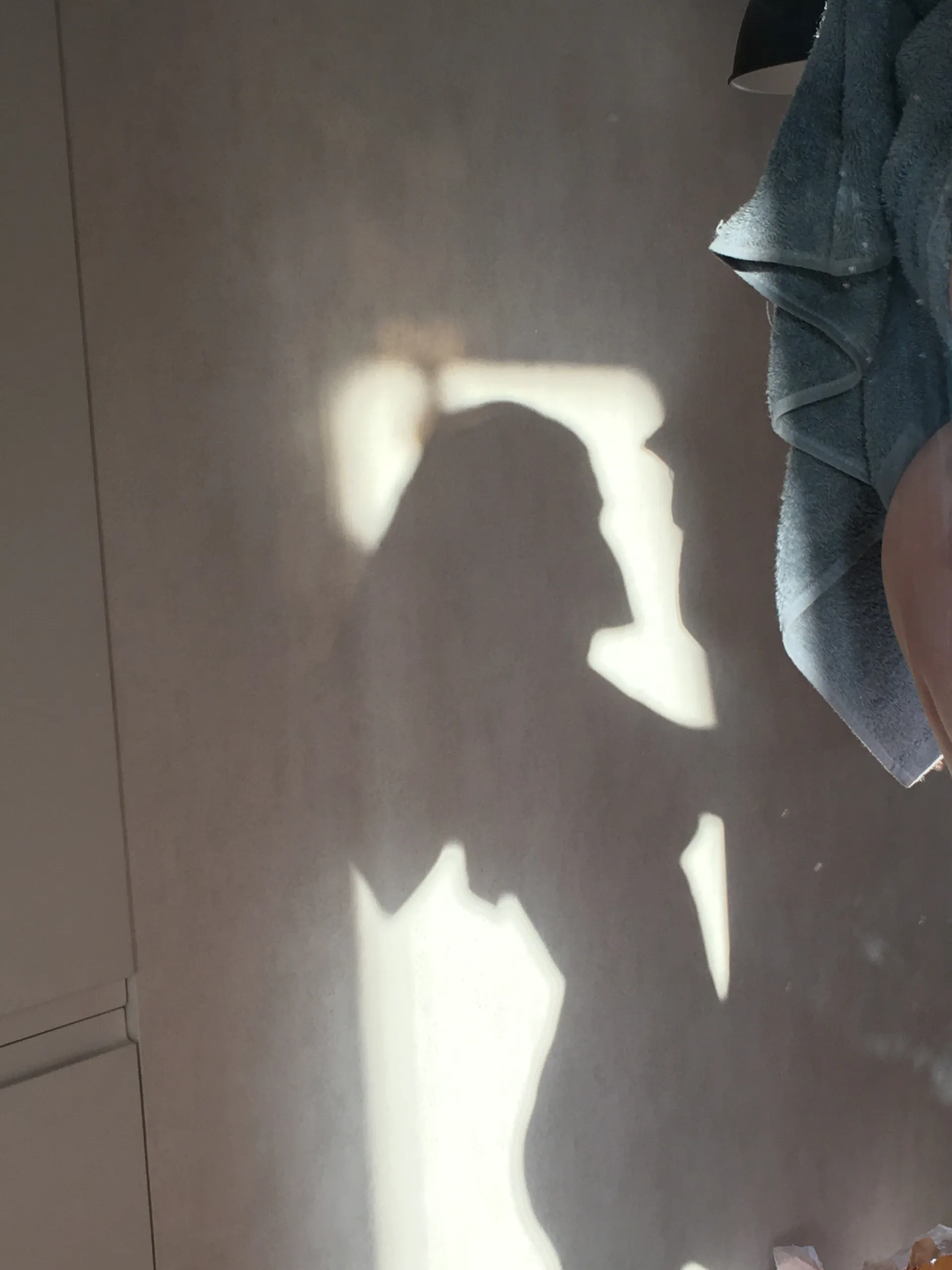 𝒮𝒾𝓁𝓁𝓎 𝒦𝒾𝓉𝓉𝓎 OnlyFans header