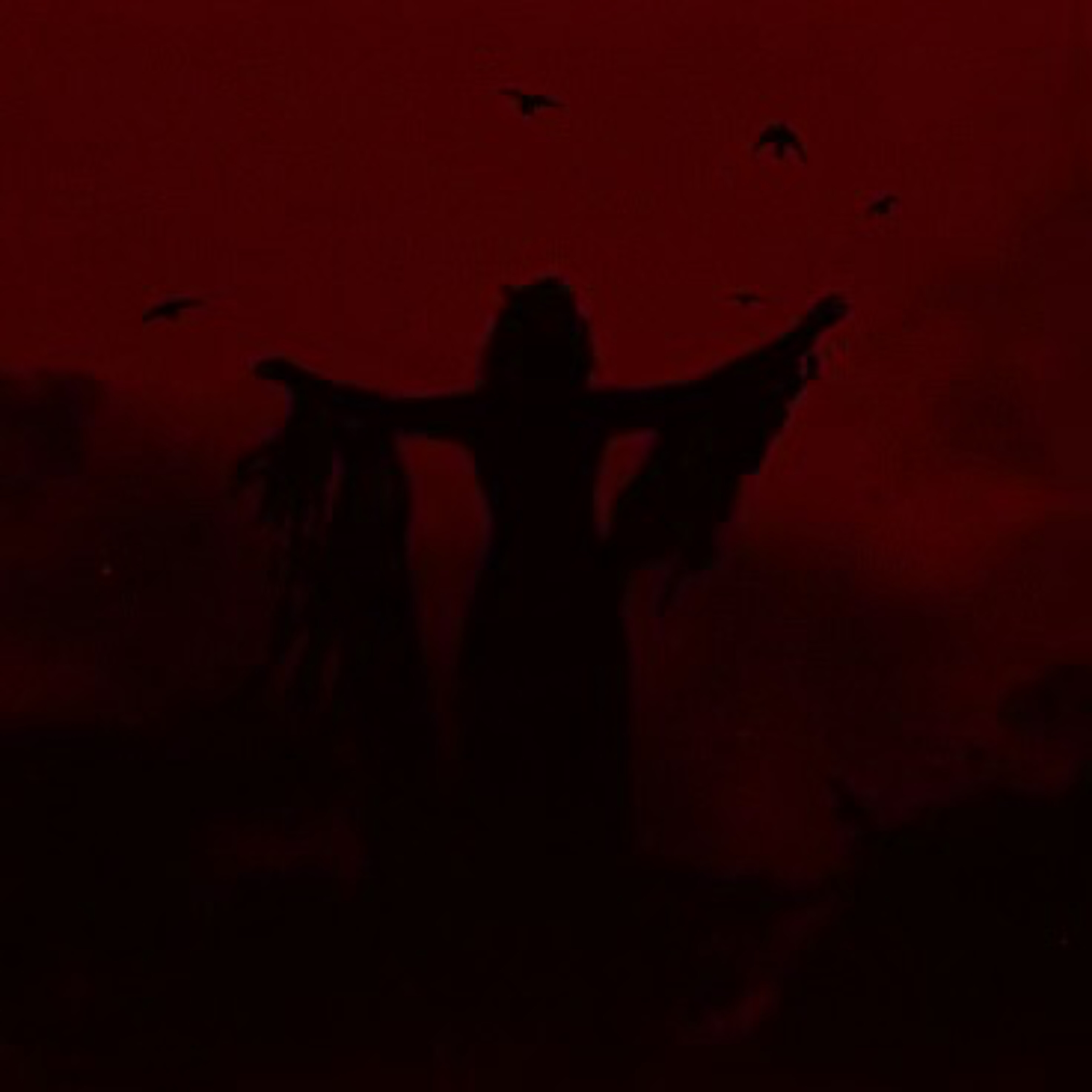 Princessa Mariposa🦋 OnlyFans header