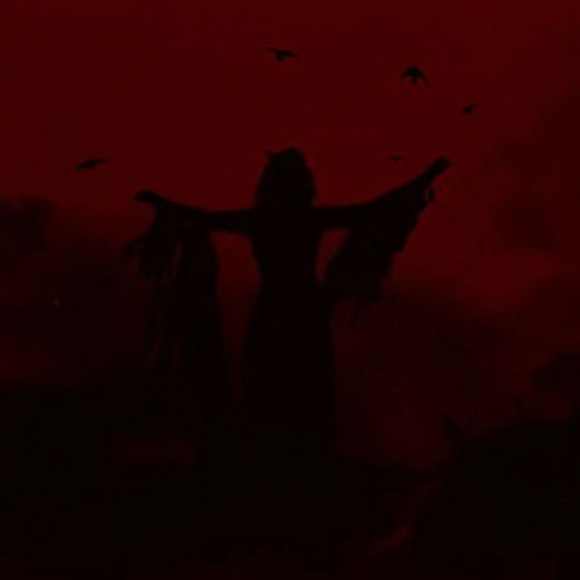 Princessa Mariposa🦋 OnlyFans header