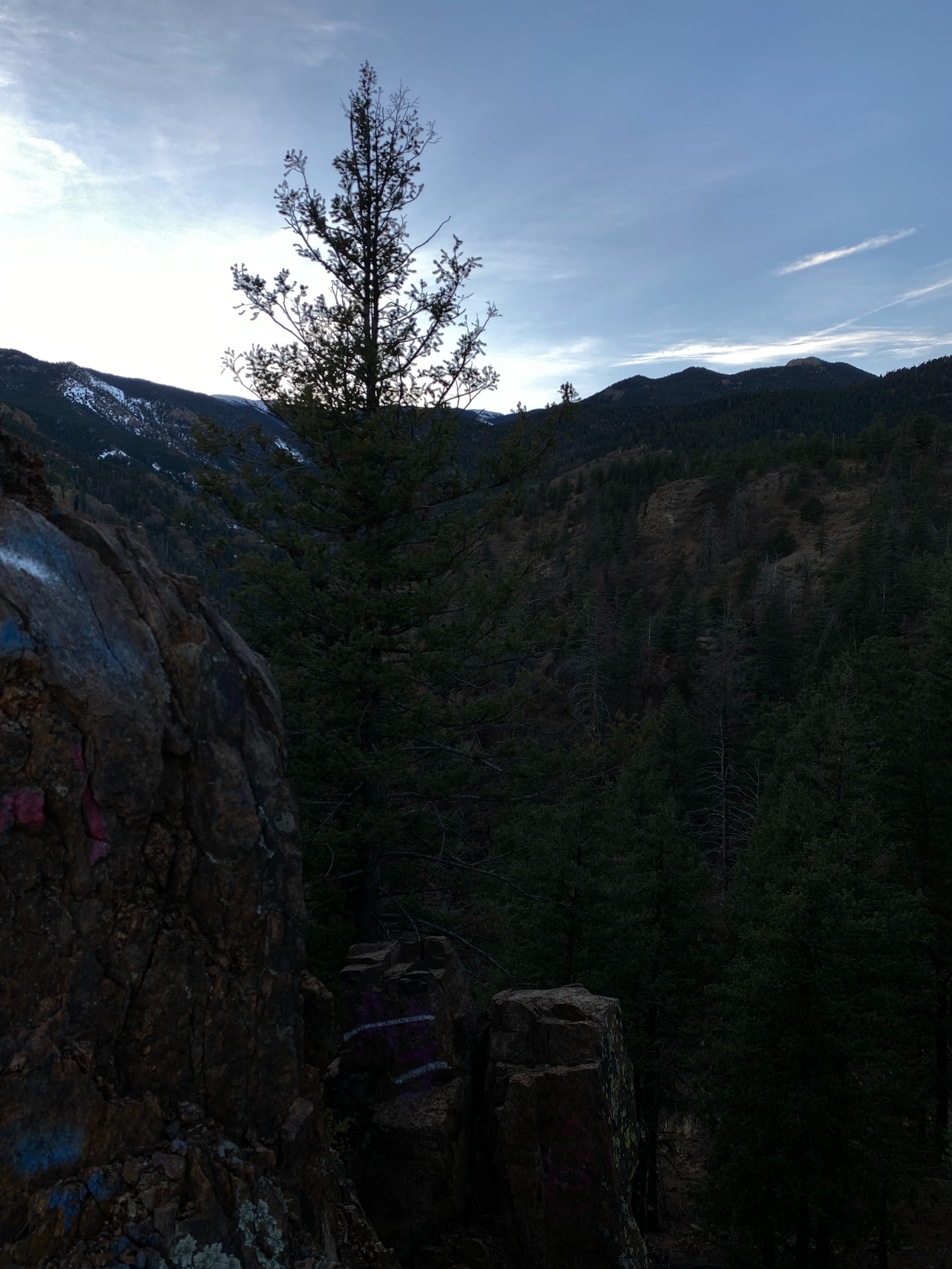 Lizzy OnlyFans header