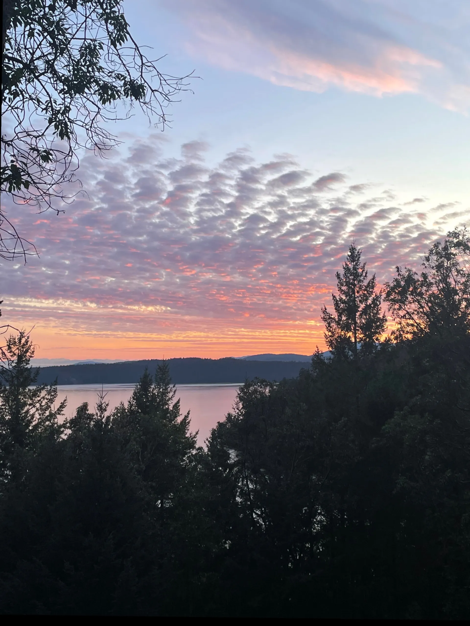 Whiskey Baby 😉 OnlyFans header