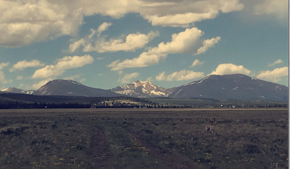 Whiskey Lyn OnlyFans header