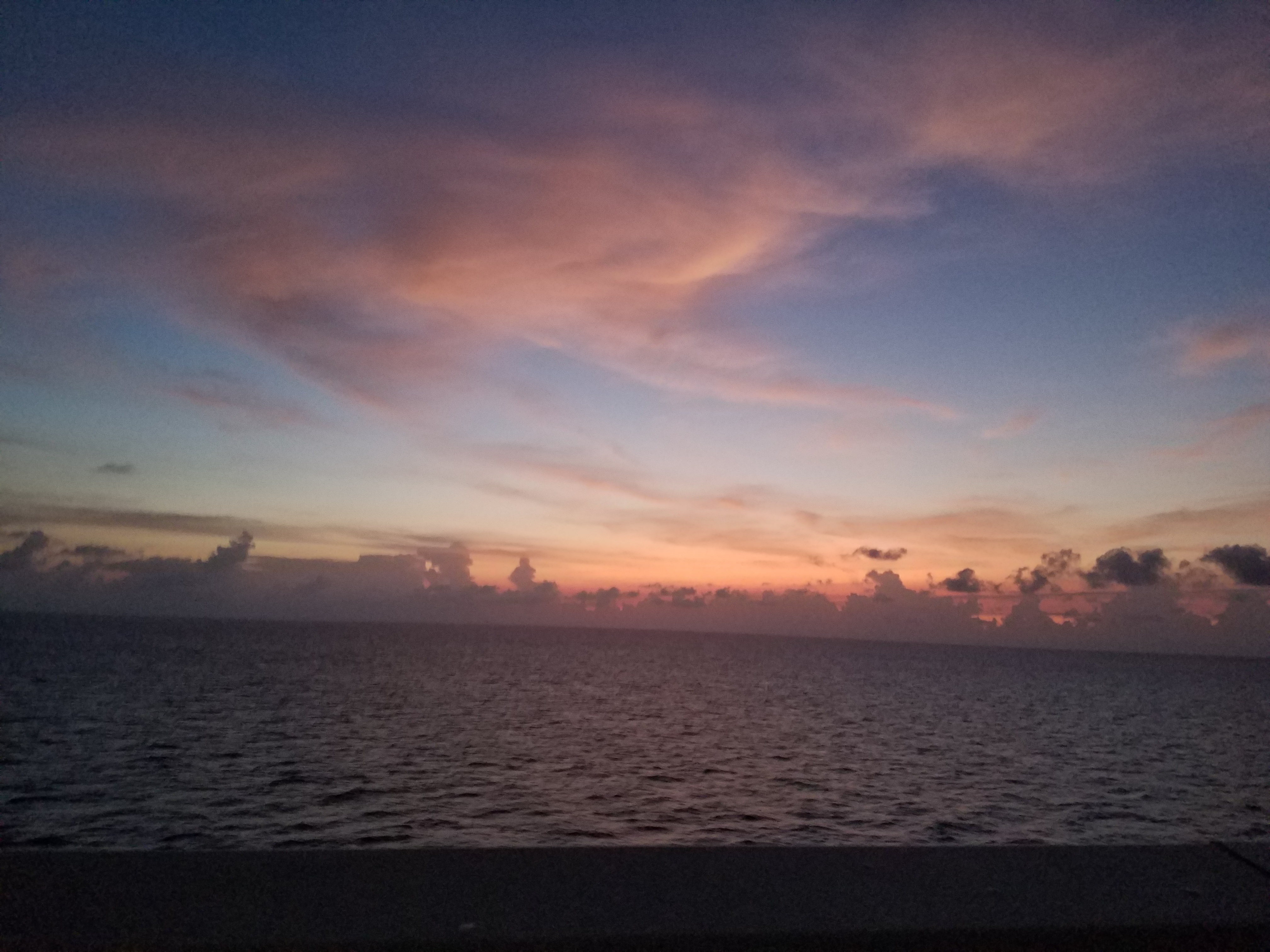 Whiskey Night OnlyFans header