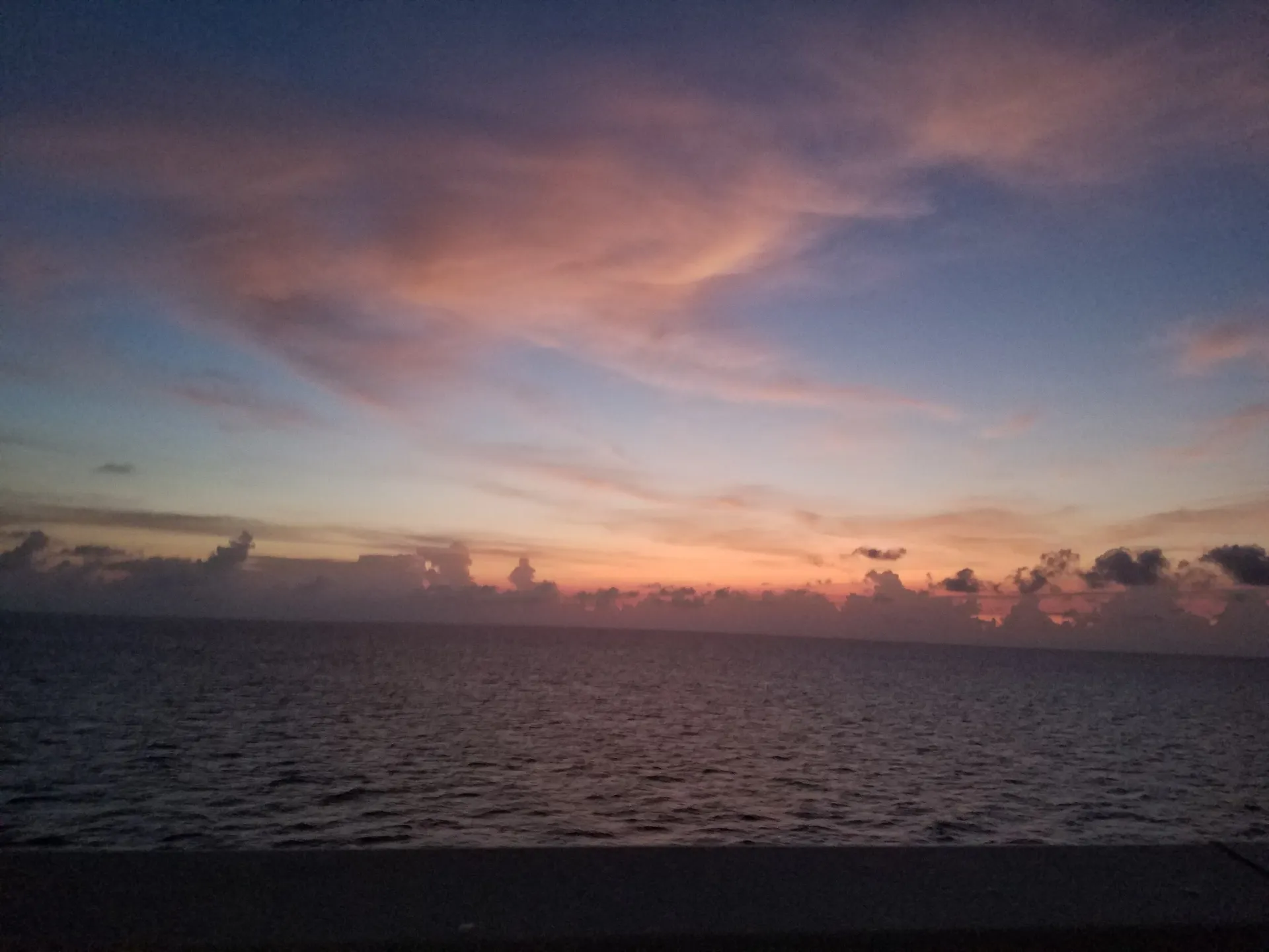 Whiskey Night OnlyFans header