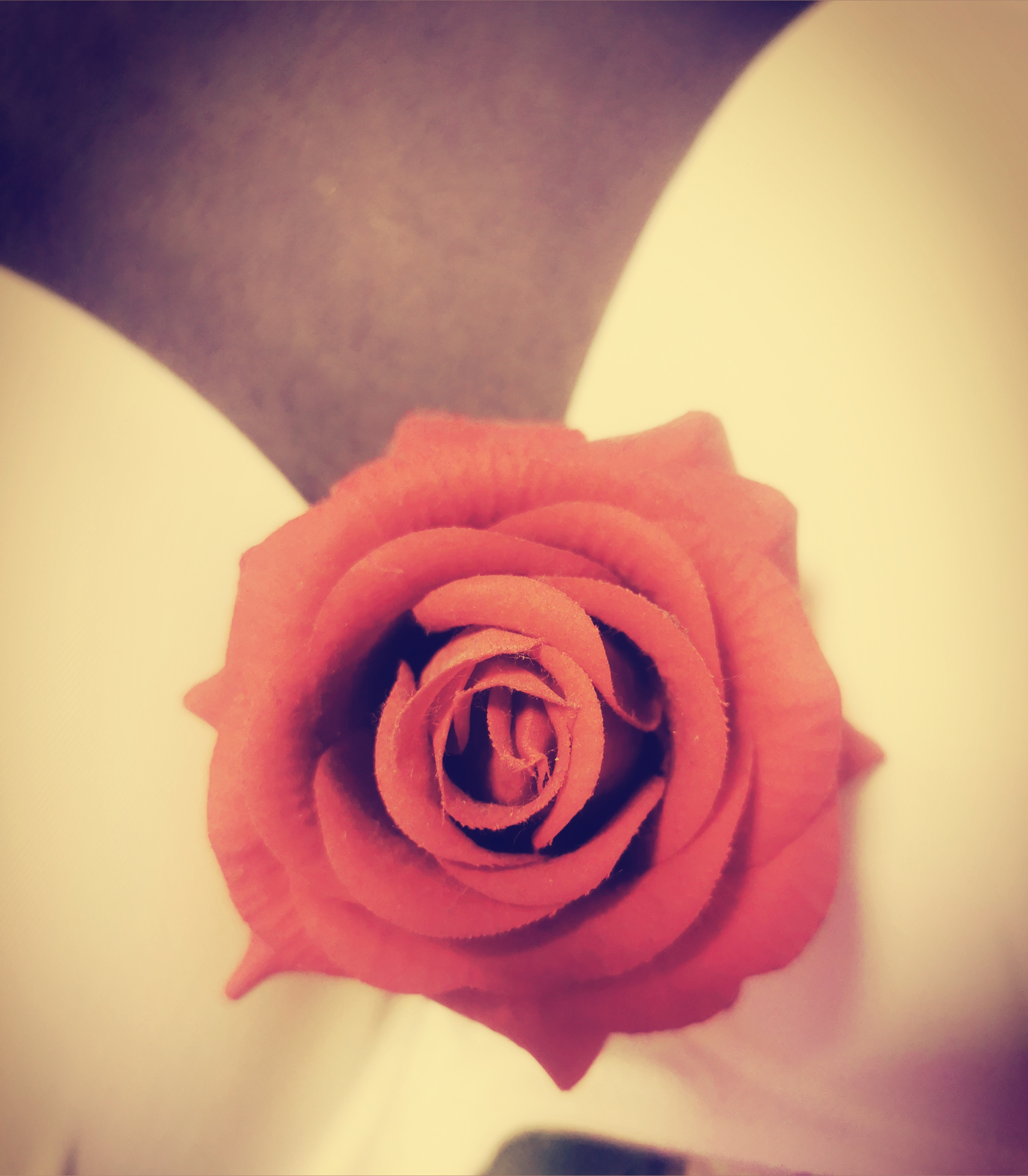 White-Devil91 💦 😱 OnlyFans