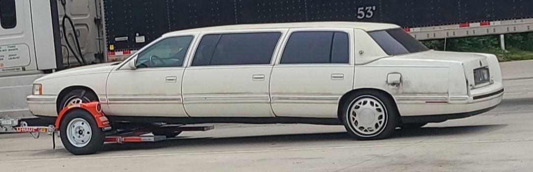 White lavender OnlyFans header