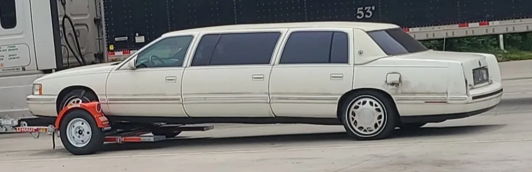 White lavender OnlyFans header