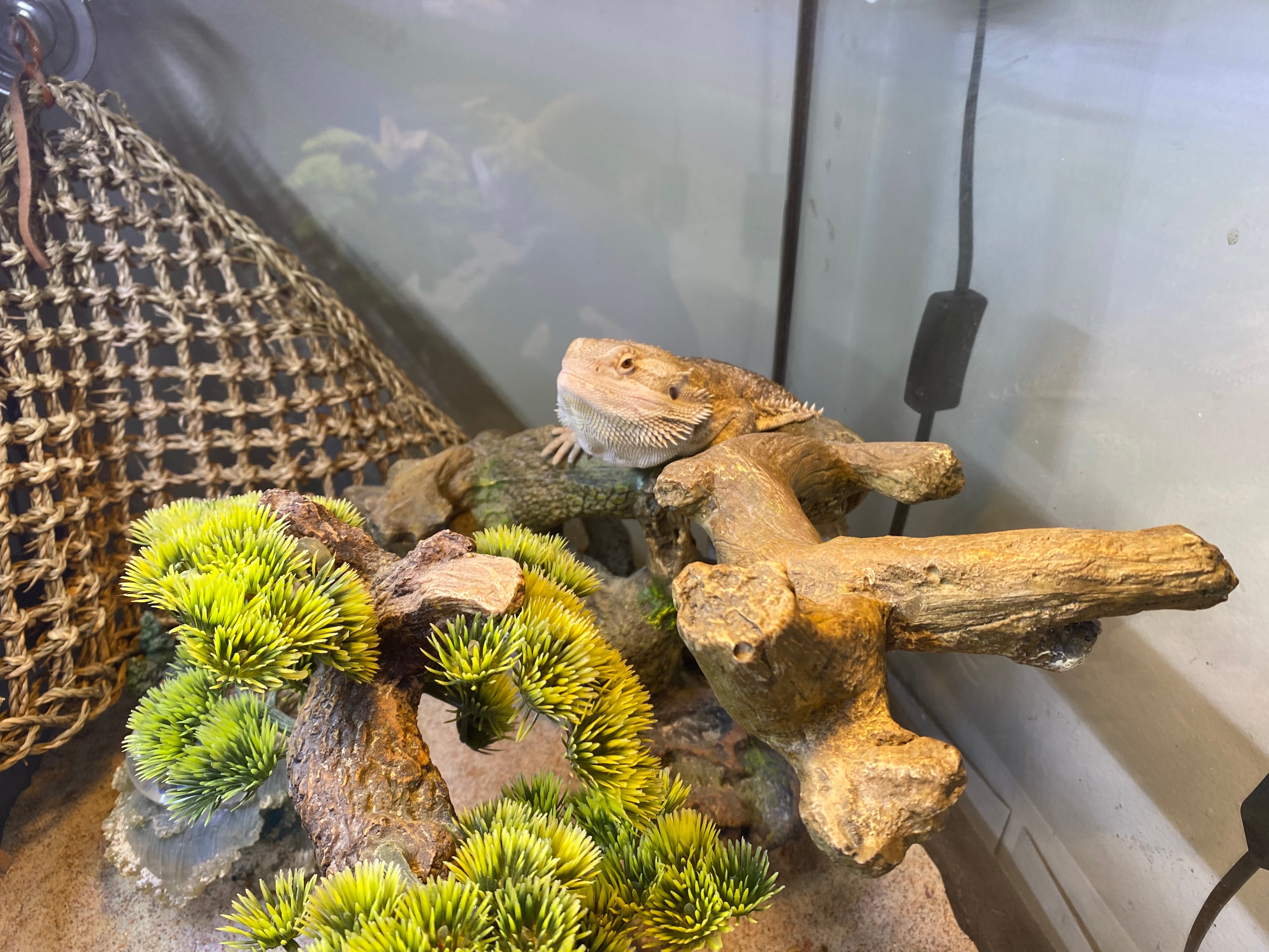 White_n_nerdy OnlyFans header