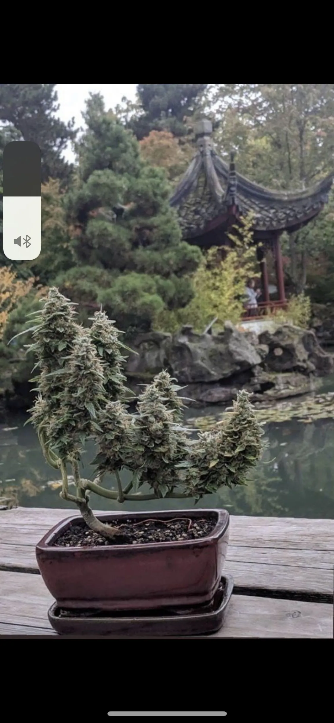 Whitetwinkxvc OnlyFans header