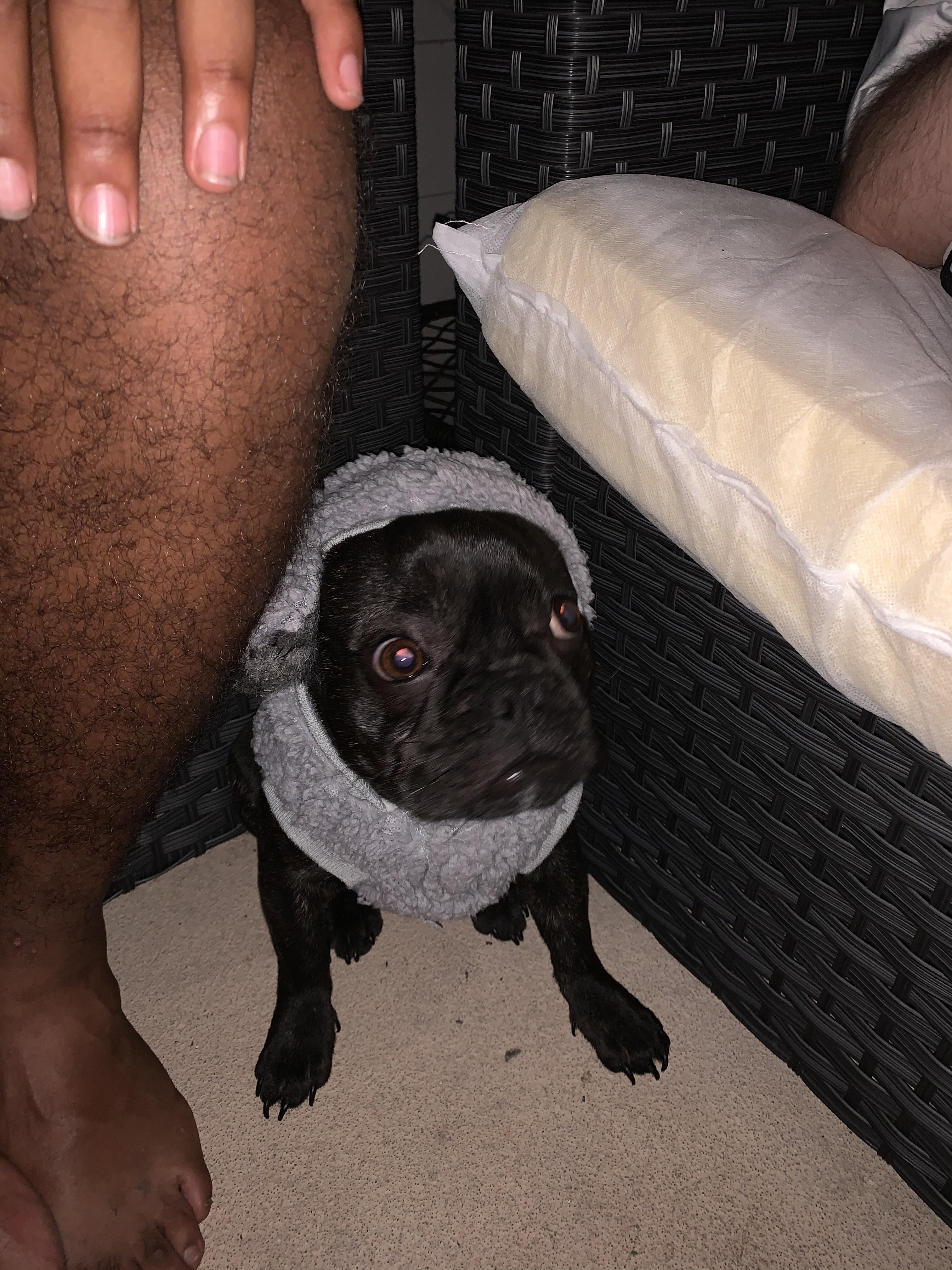 Big 🅿️ OnlyFans header