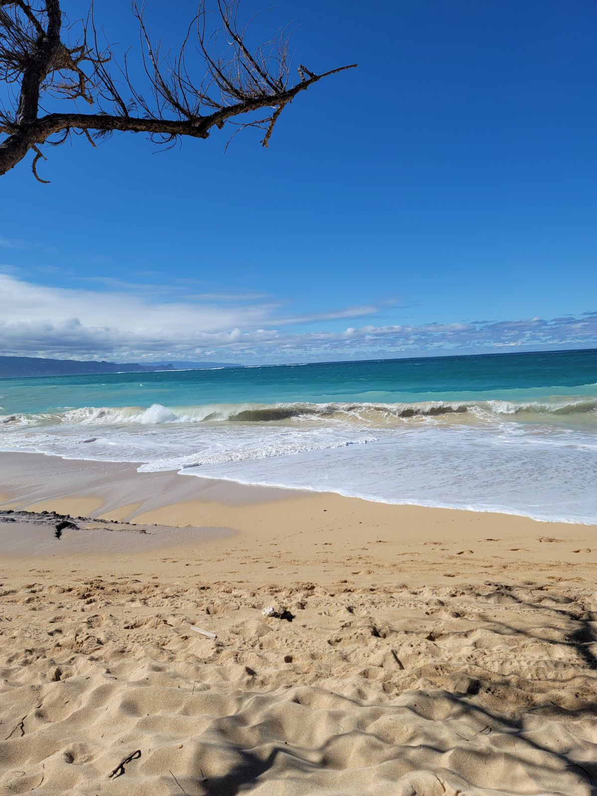 Ms Bunny OnlyFans header