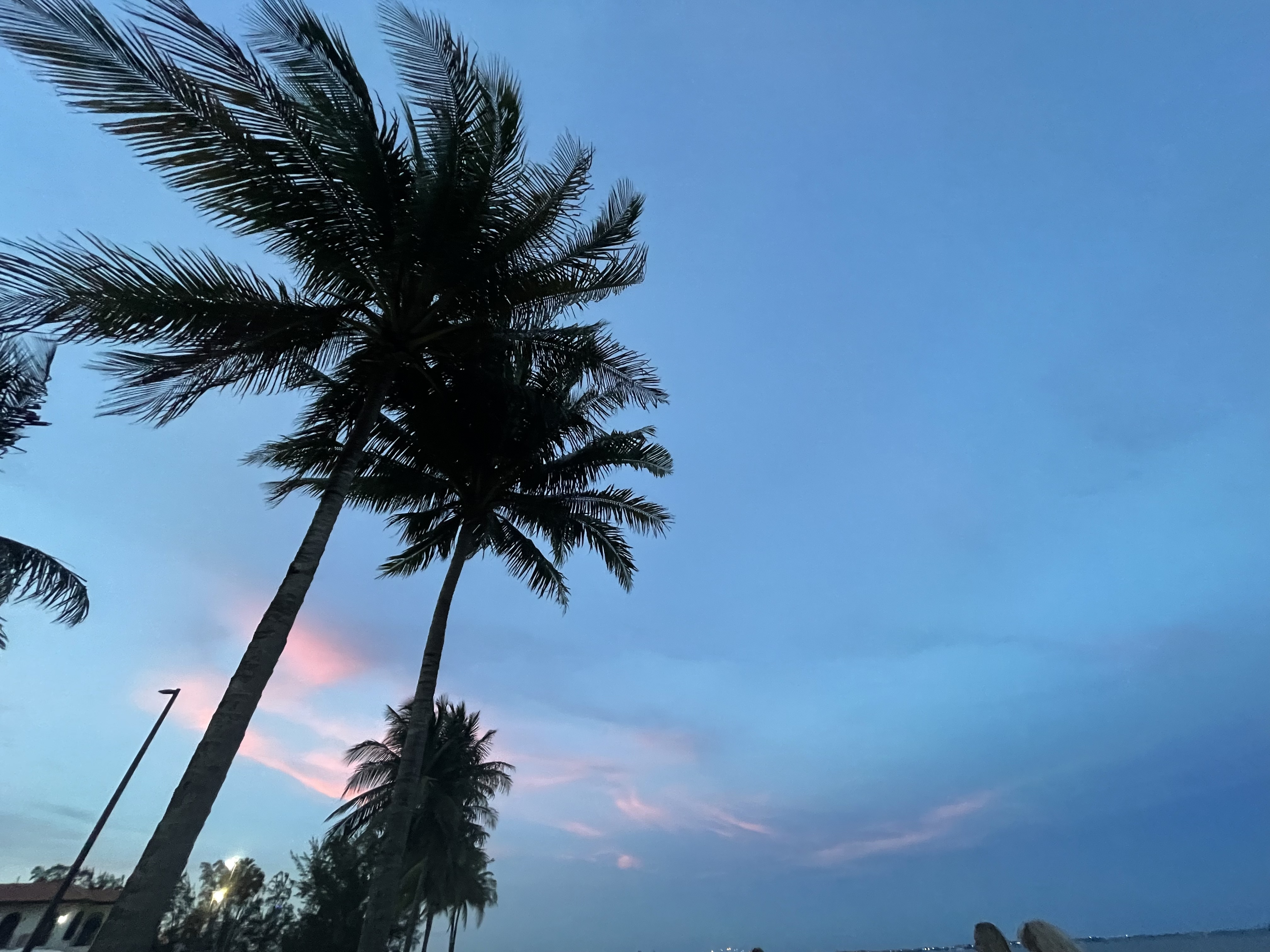 bunny OnlyFans header