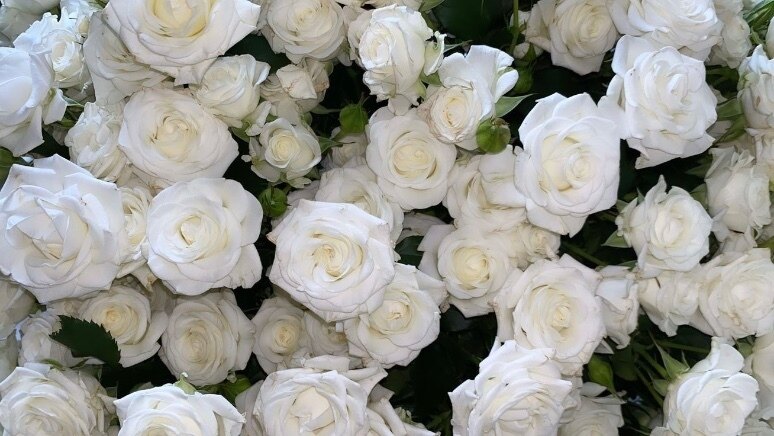 Ale Ro OnlyFans header