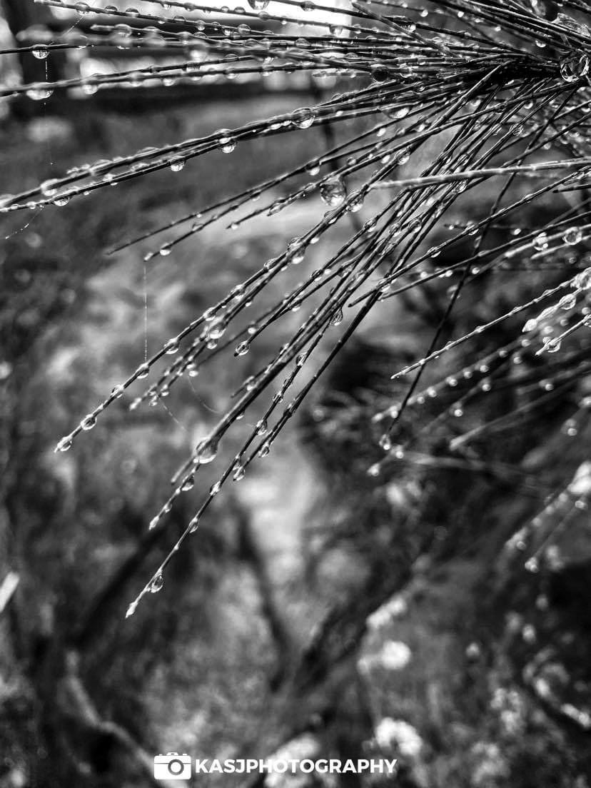 Kyle OnlyFans header