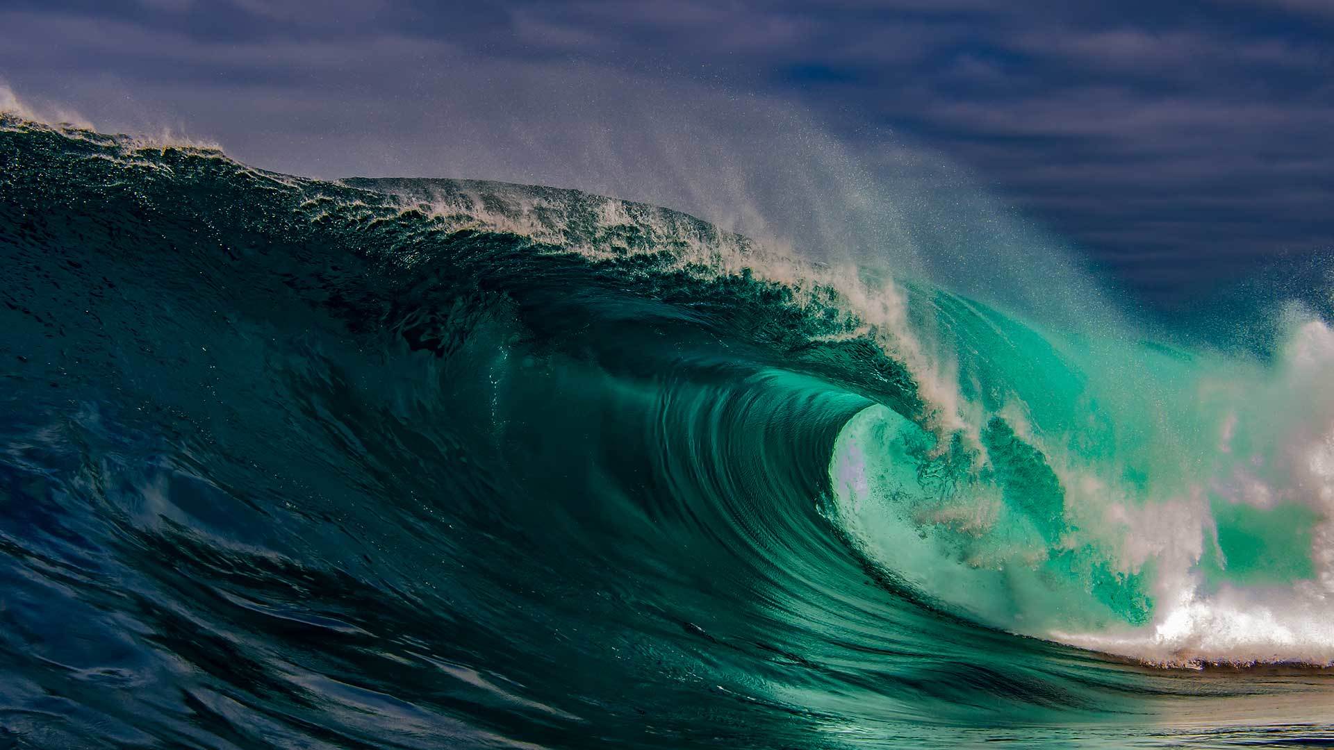 White Congo OnlyFans header