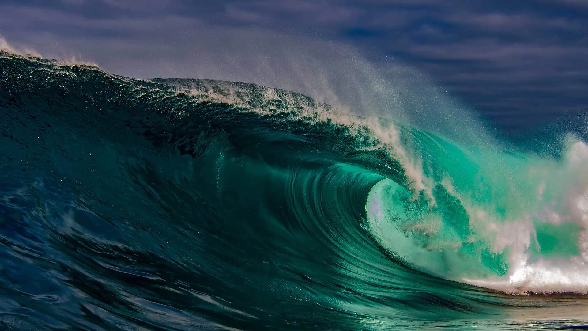 White Congo OnlyFans header