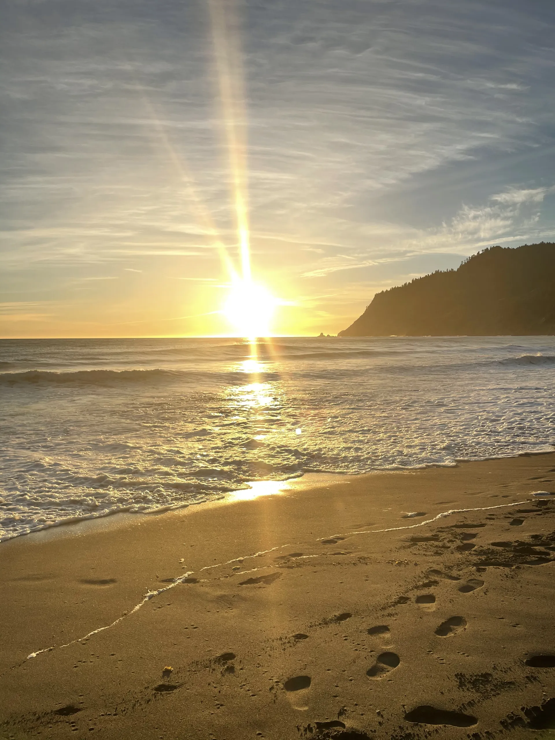 Brandi OnlyFans header