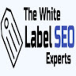 White Label Seo Experts OnlyFans