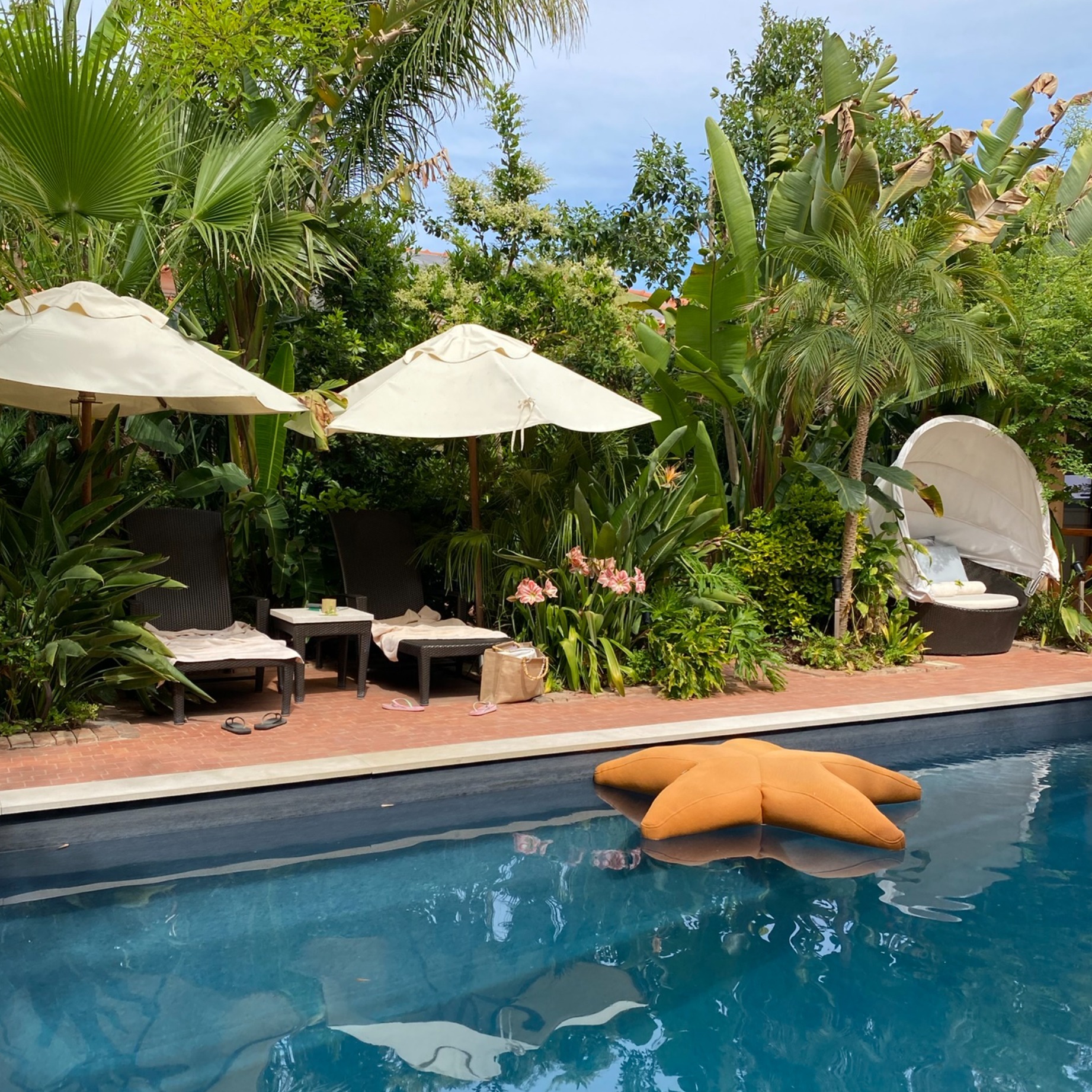 White Paradise Couple 🤍🔞 OnlyFans header