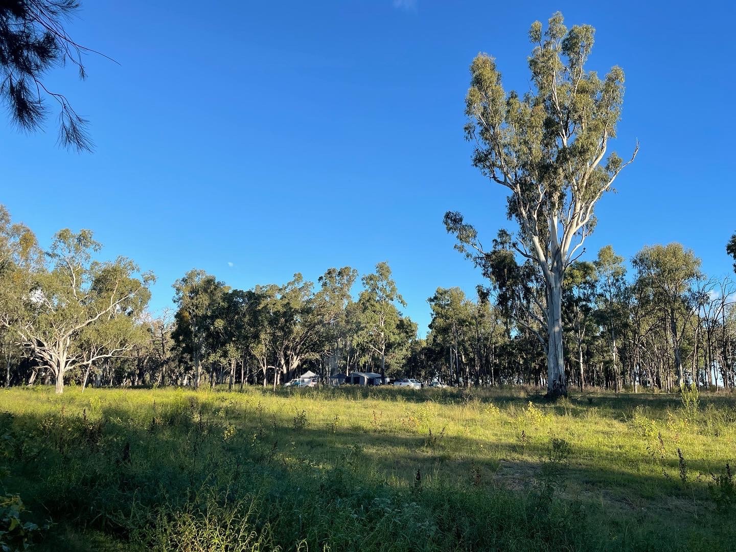 Whiterabbits OnlyFans header