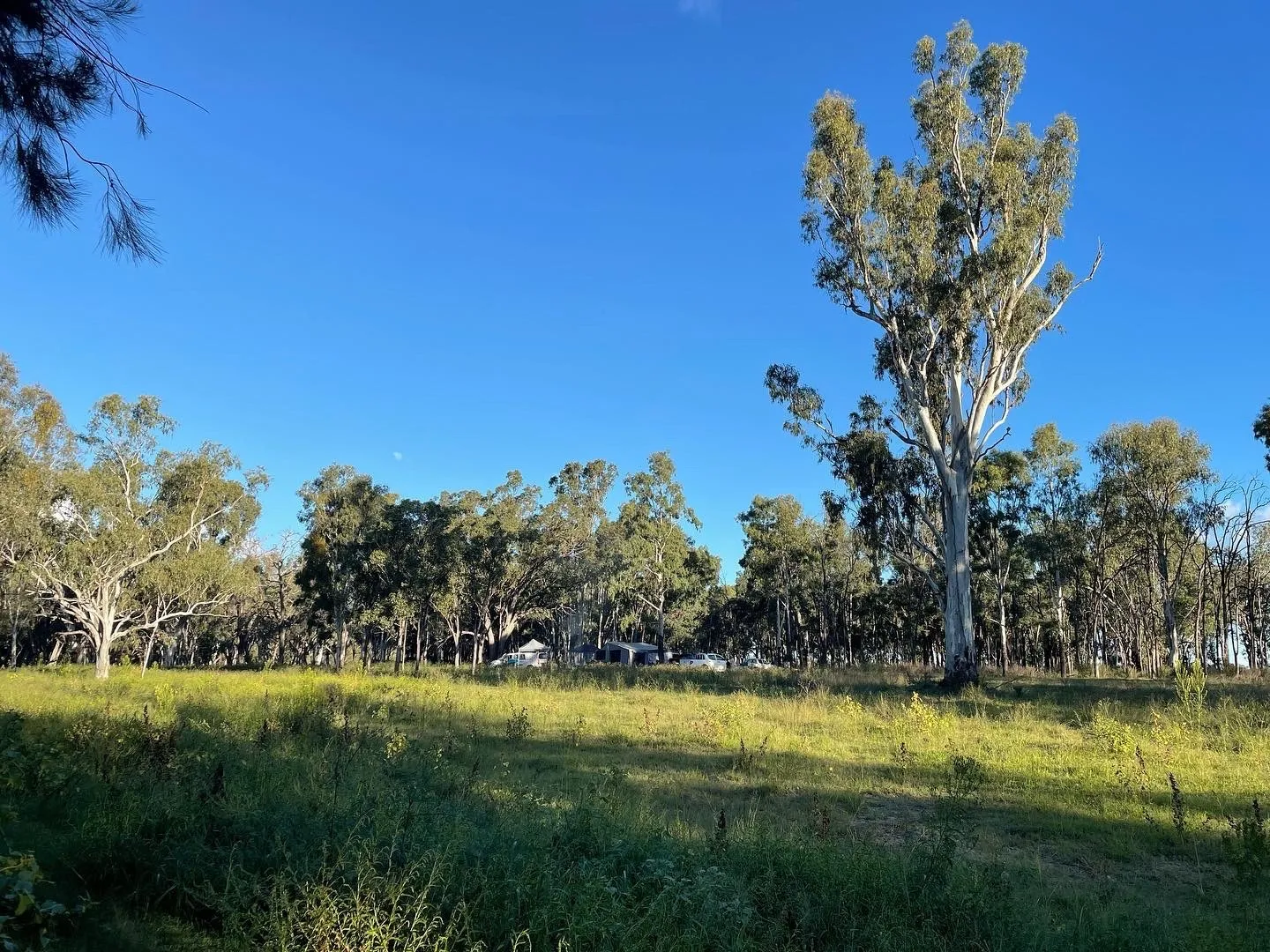 Whiterabbits OnlyFans header