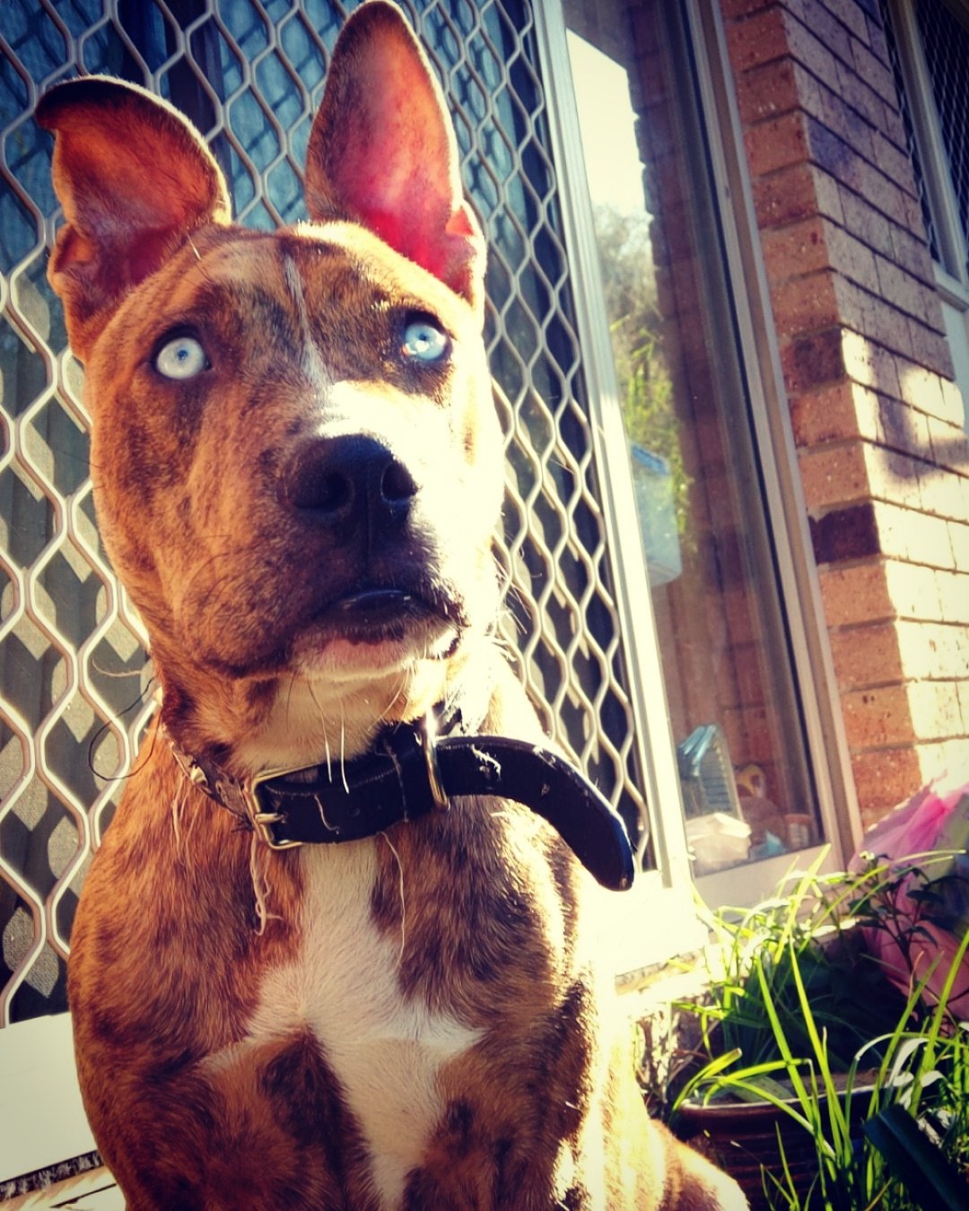 Aaron Moyle OnlyFans header