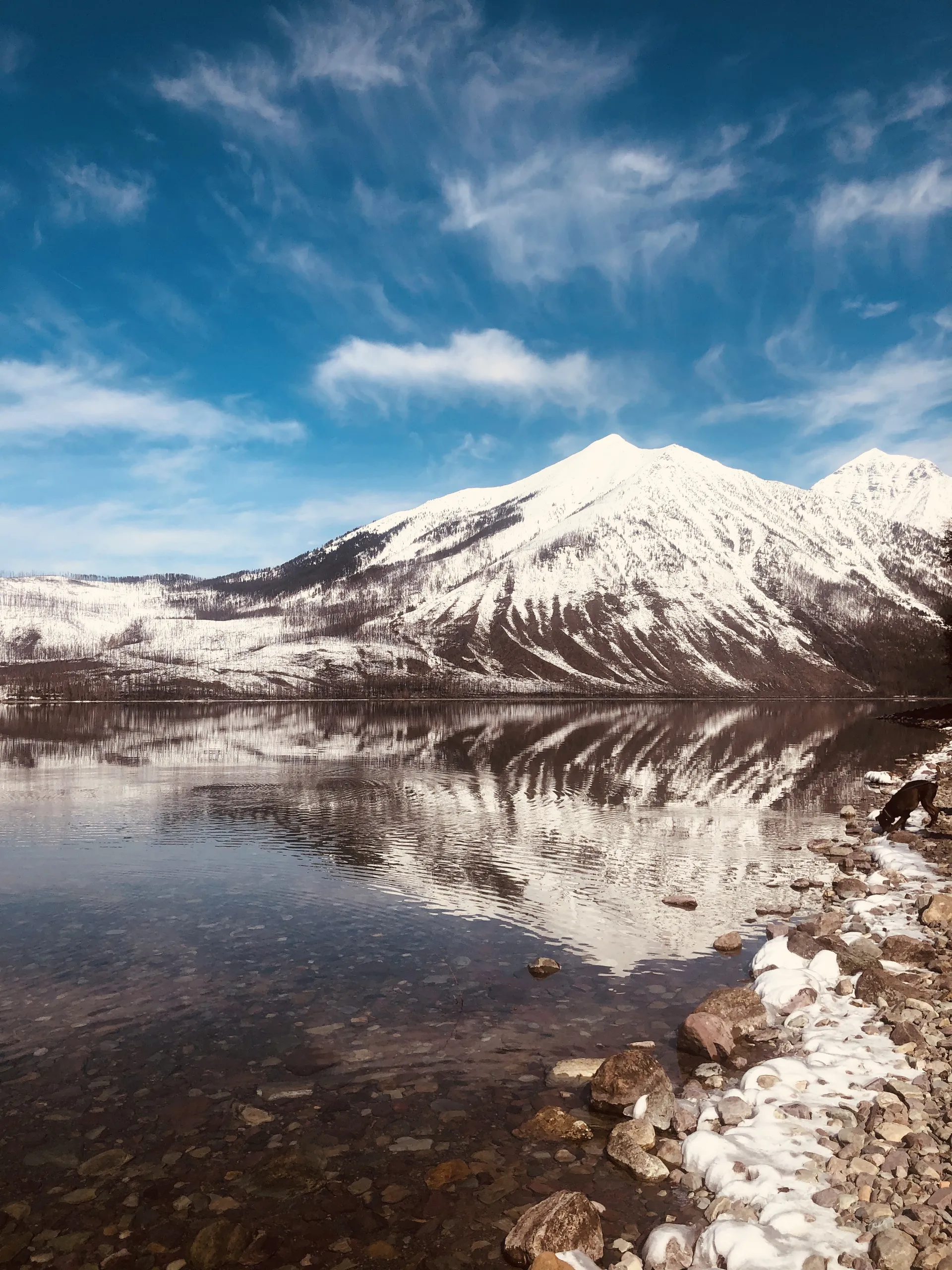 White Shadow OnlyFans header