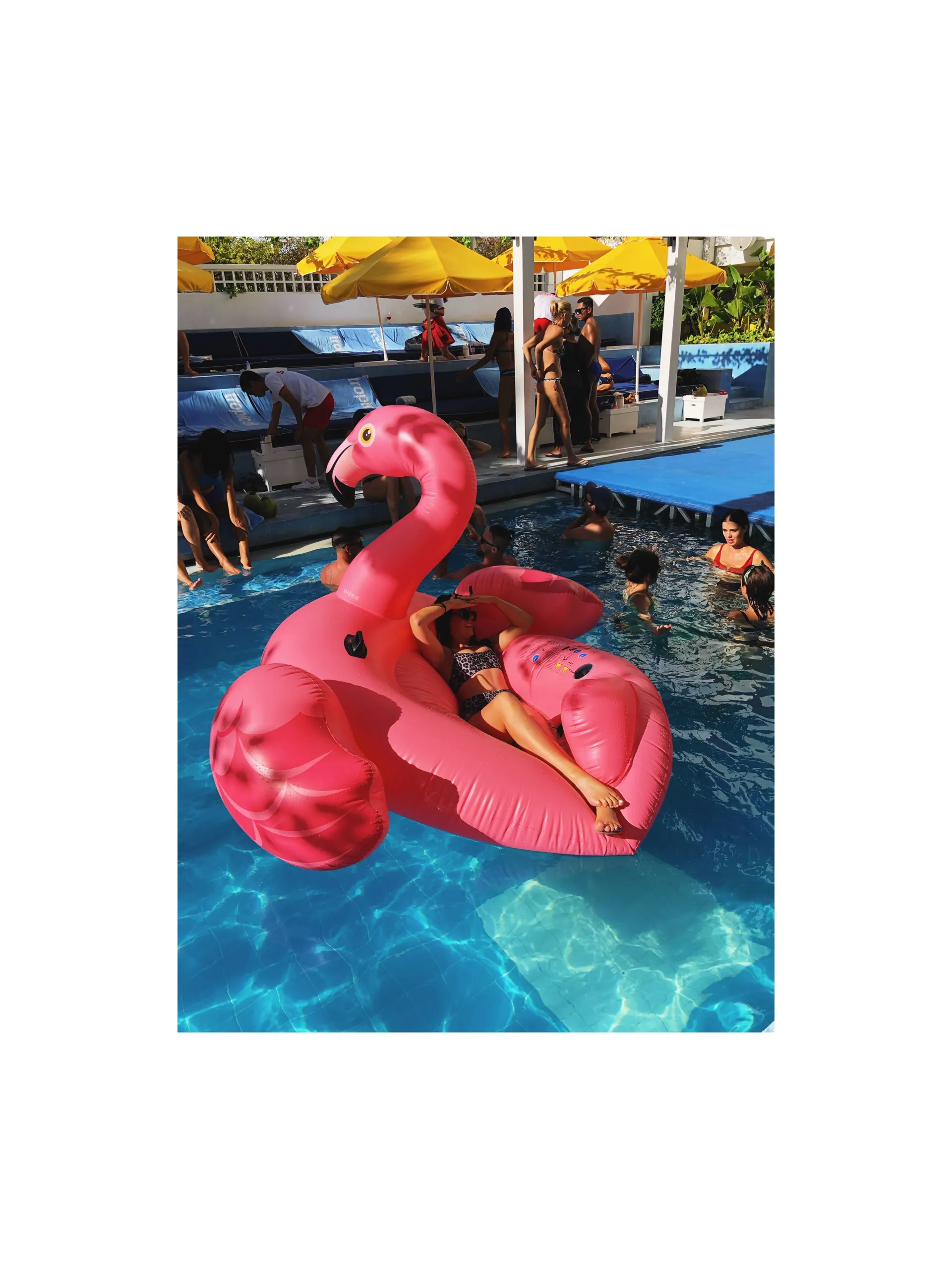 Shaylah Colley OnlyFans header