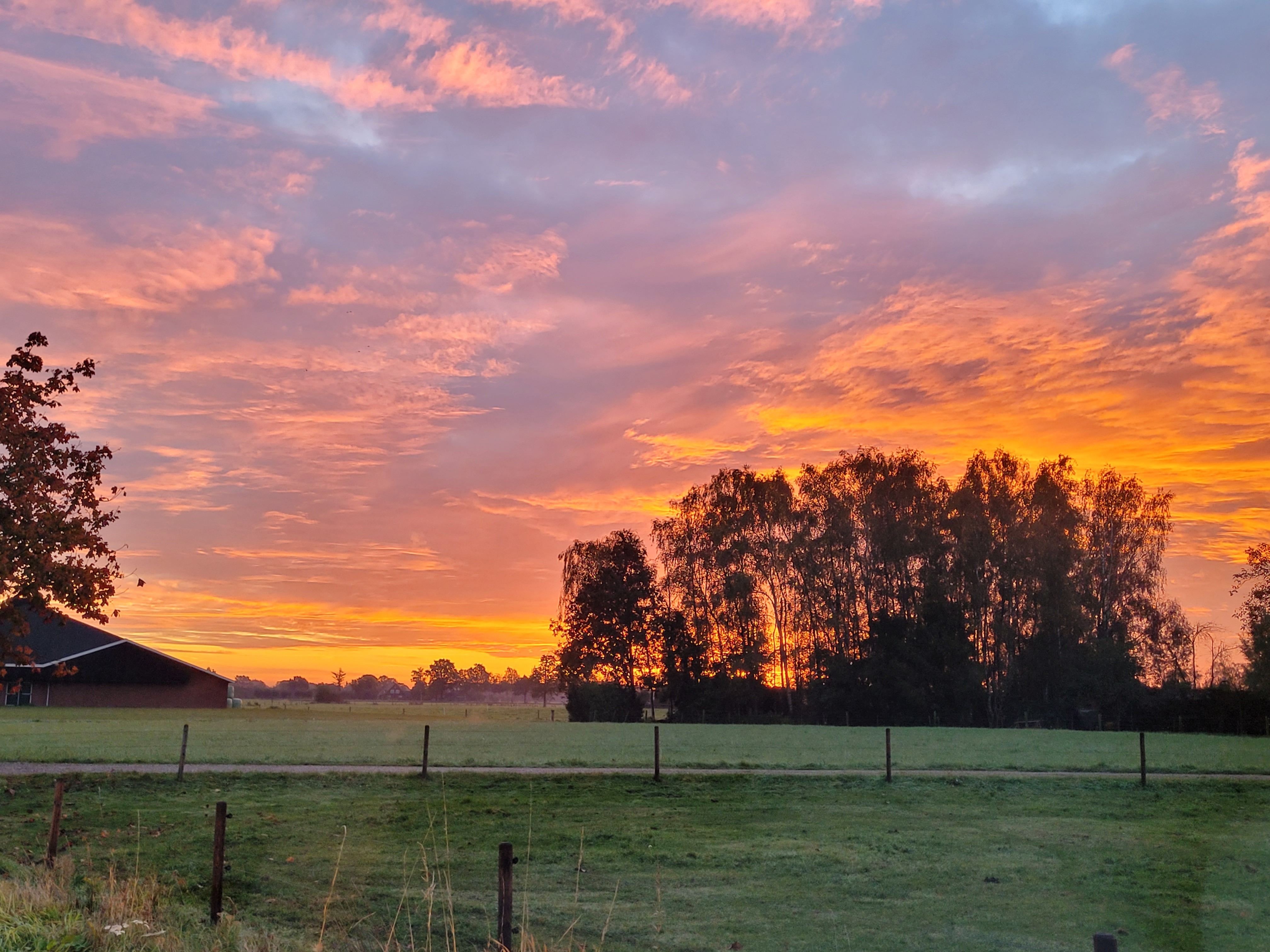 Lilly - Rose OnlyFans header