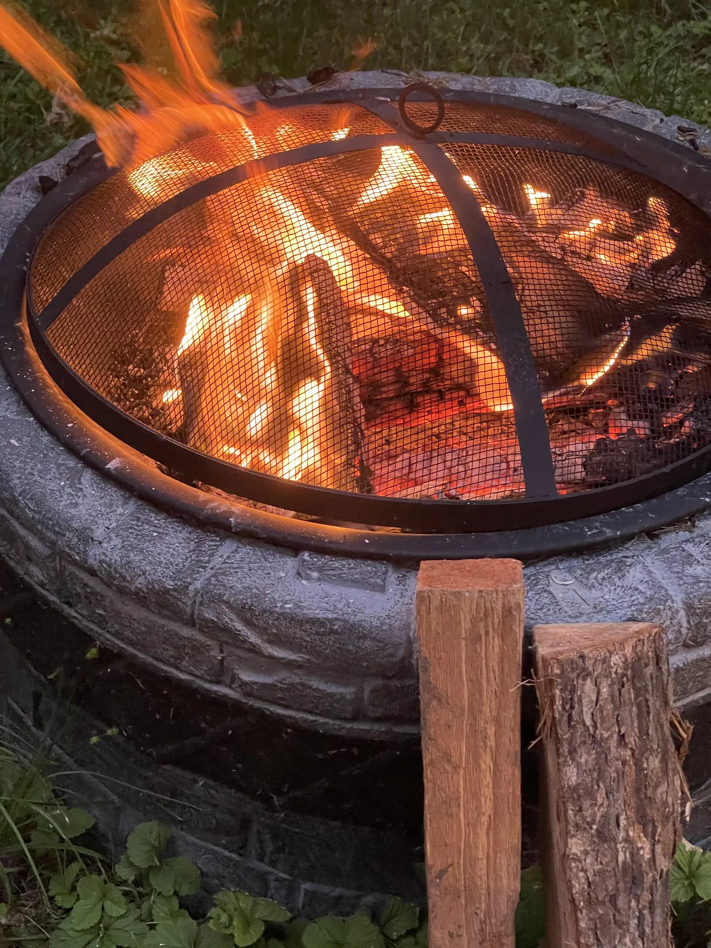 Whitewolf87 OnlyFans header