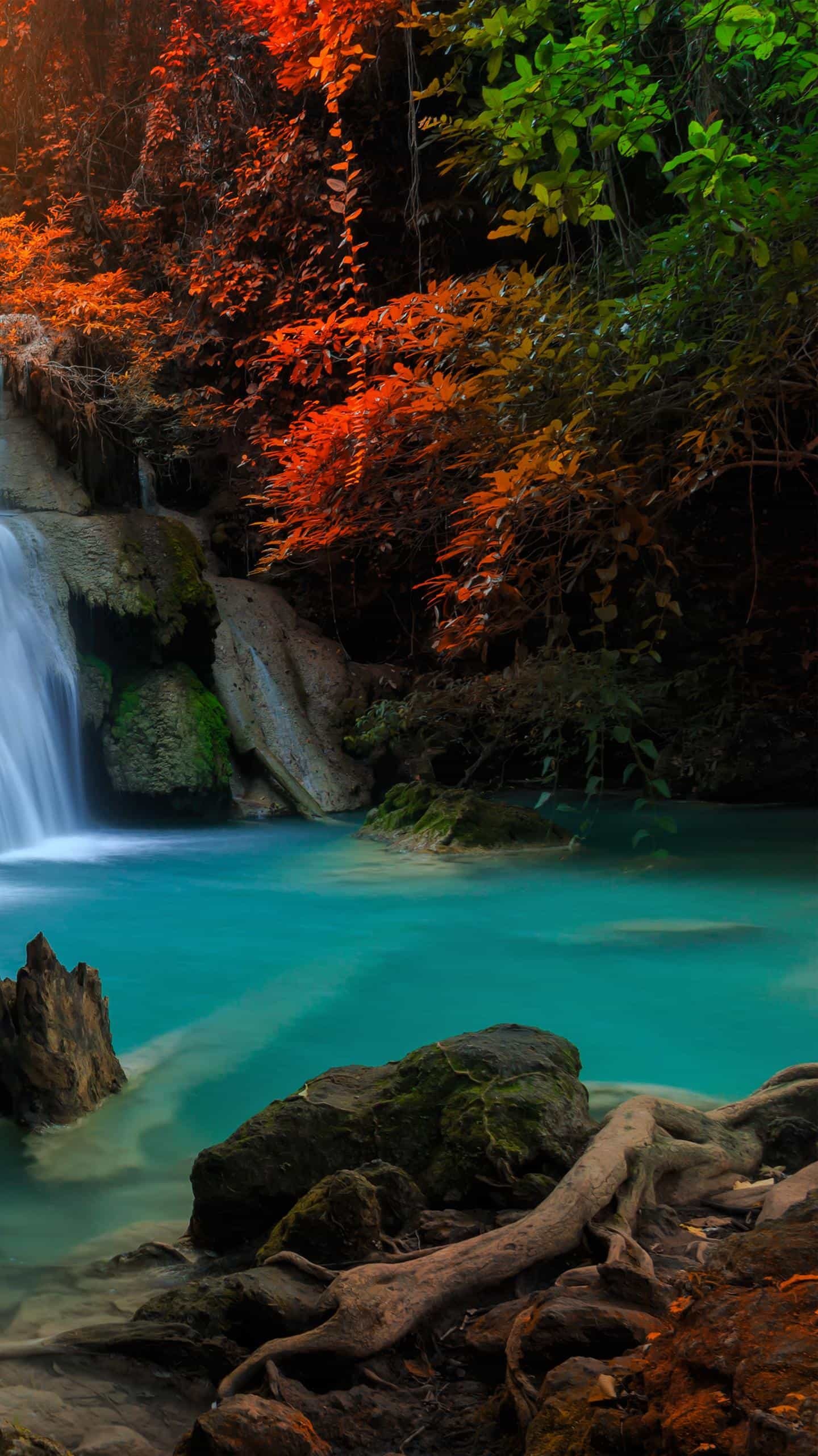 🐺Wolf OnlyFans header