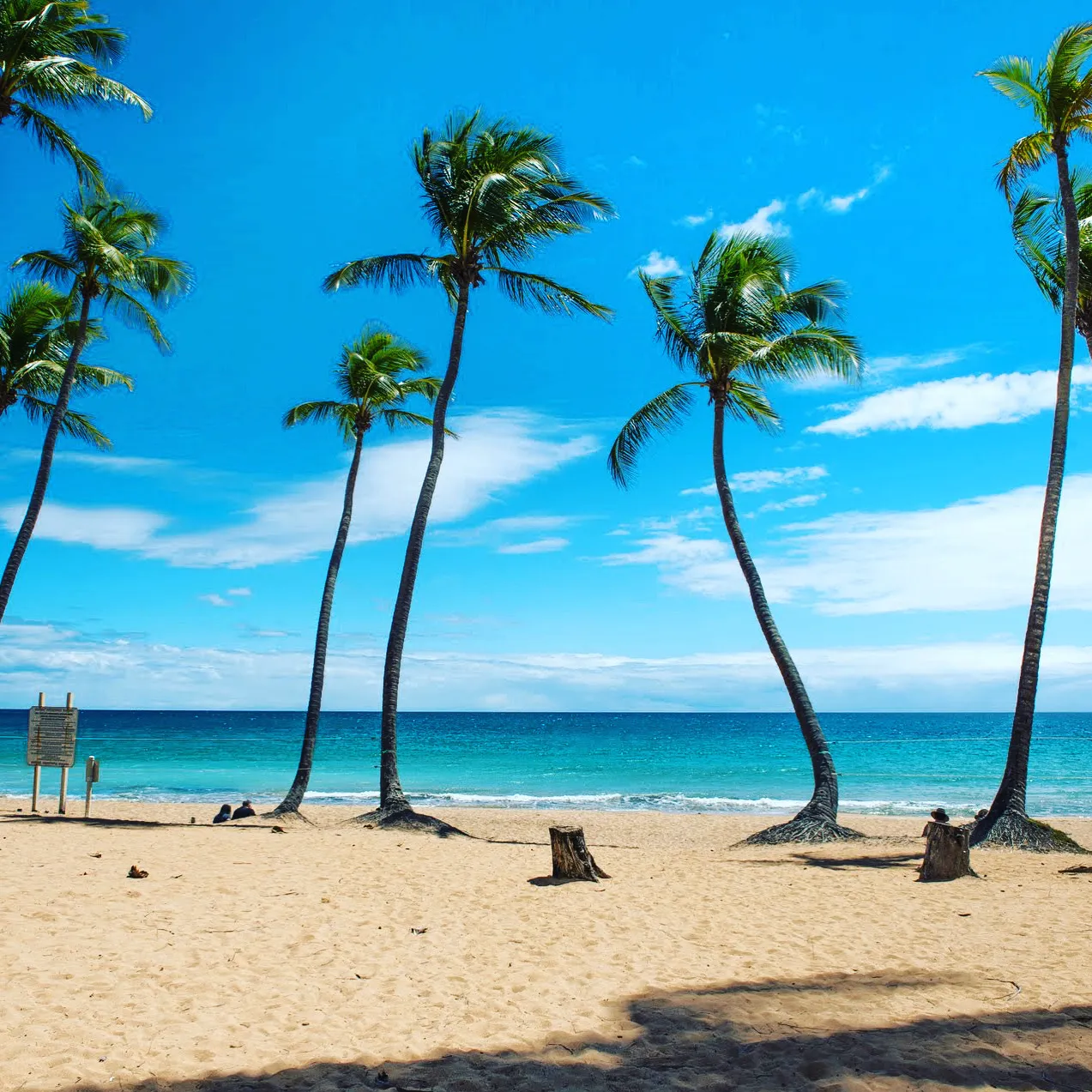 Whitney 🌹 OnlyFans header