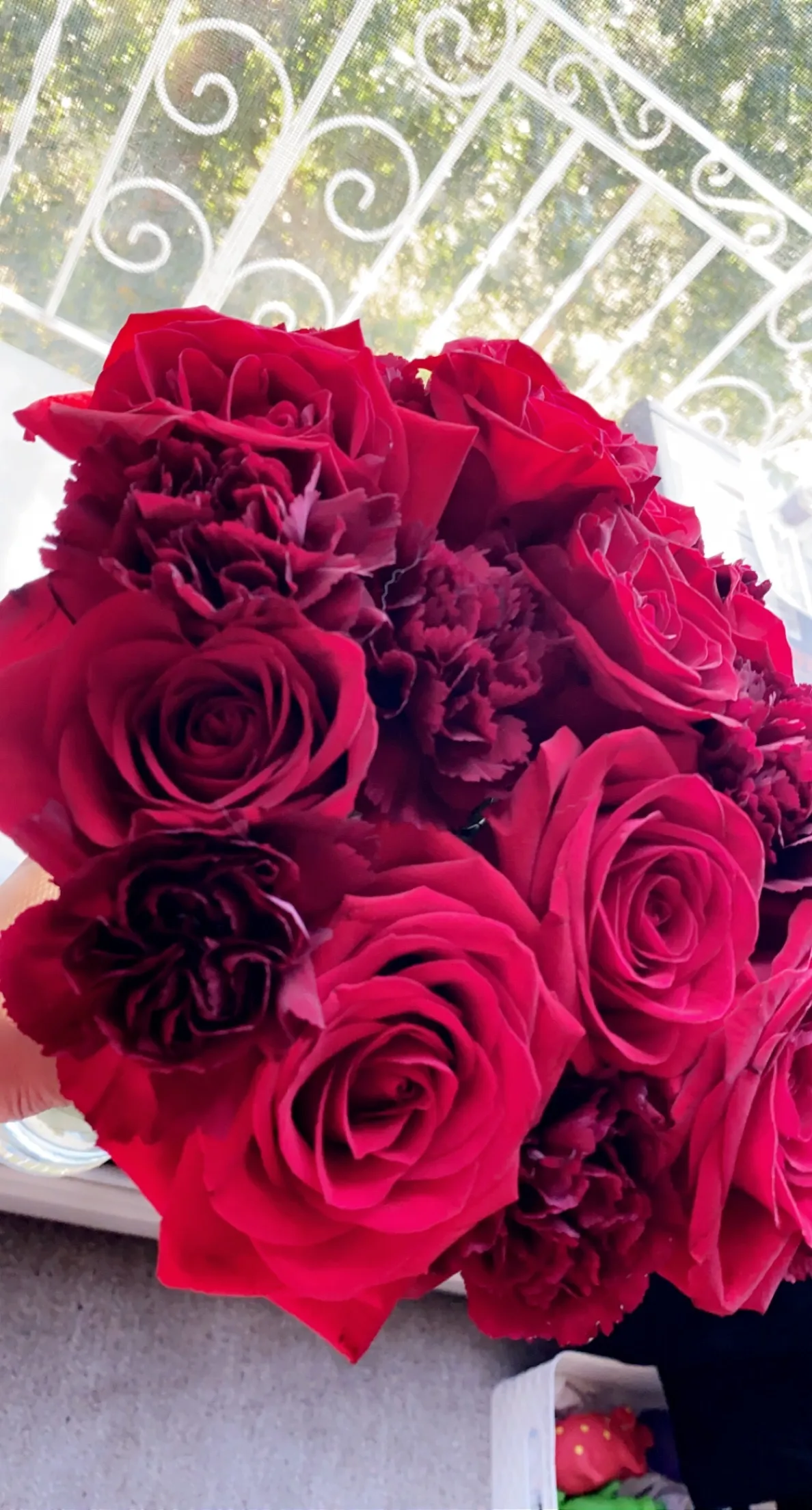 whitneydawn OnlyFans header