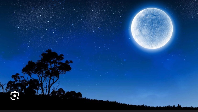 Whit OnlyFans header