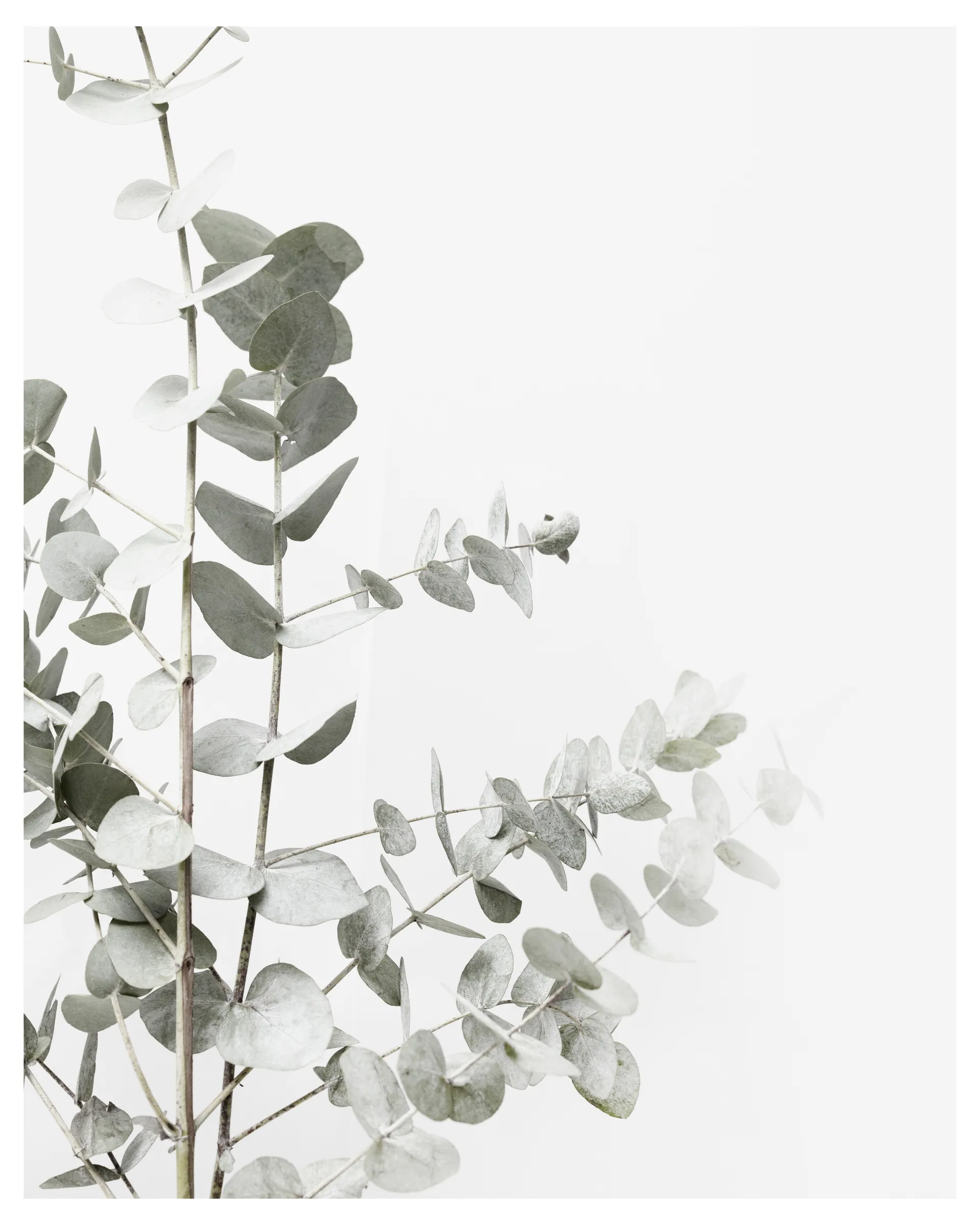 whitney. OnlyFans header