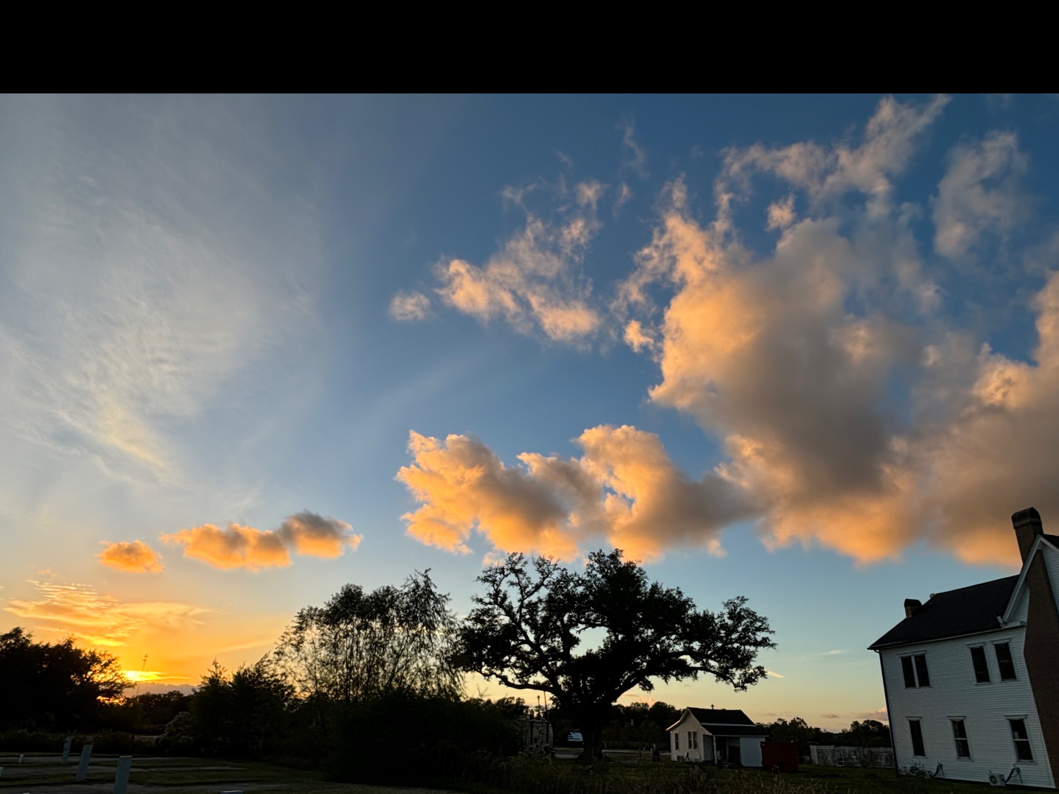 🇵🇷🪼Queen.Ari 🪼🇵🇷 OnlyFans header