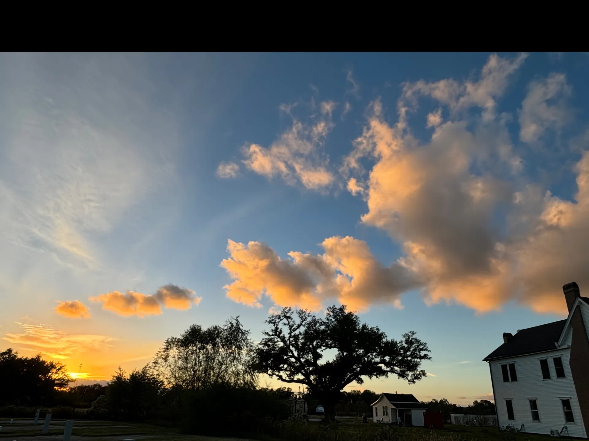 🇵🇷🪼Queen.Ari 🪼🇵🇷 OnlyFans header