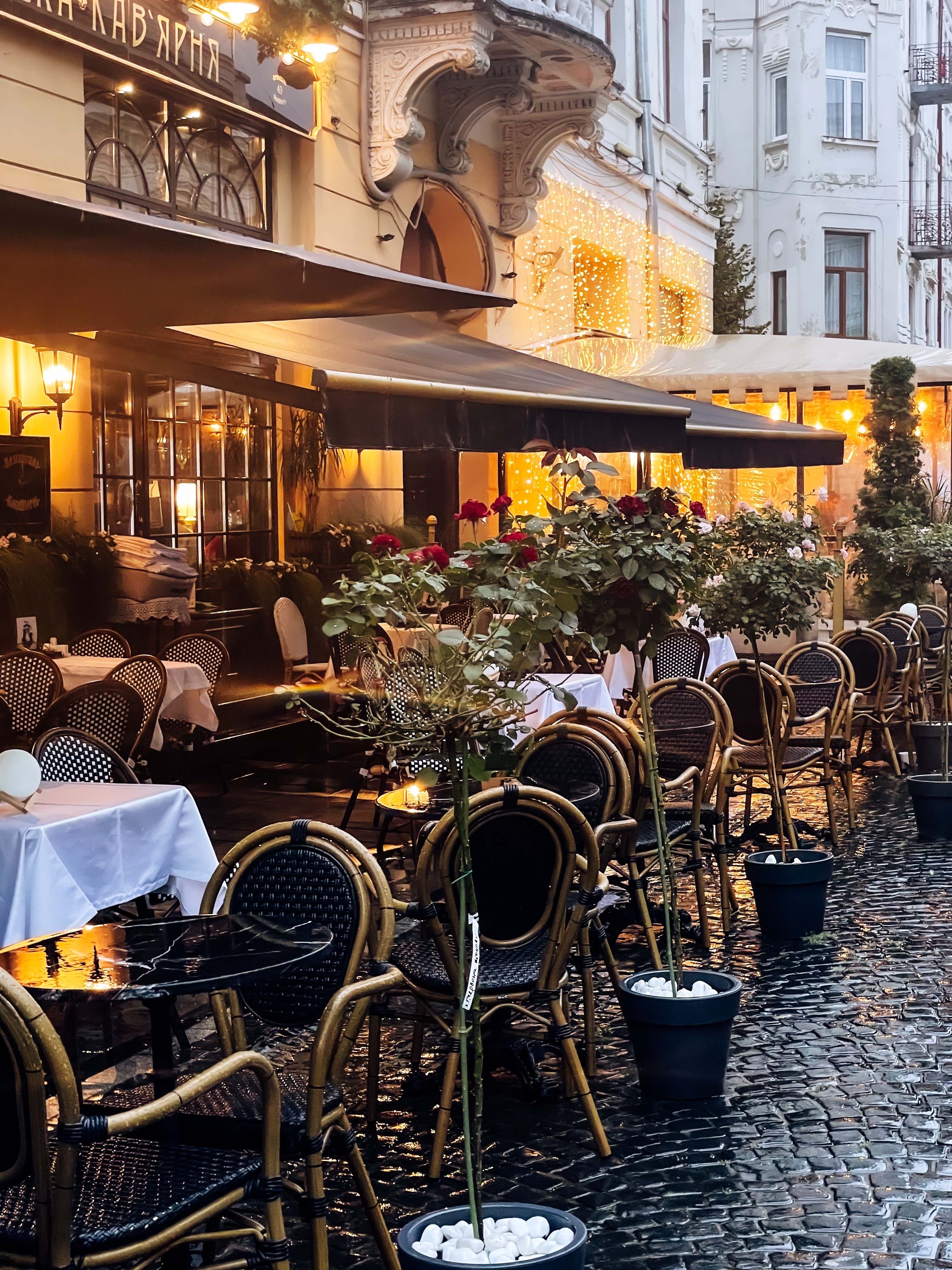 WhoKnowsElise OnlyFans header